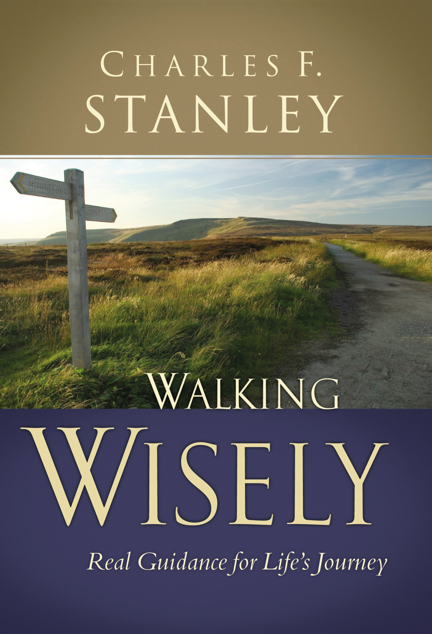 Cover image for Walking Wisely [electronic resource] : Real Life Solutions for Life's Journey