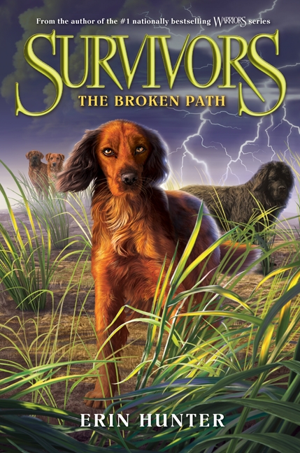 Cover image for Survivors #4: The Broken Path [electronic resource] :