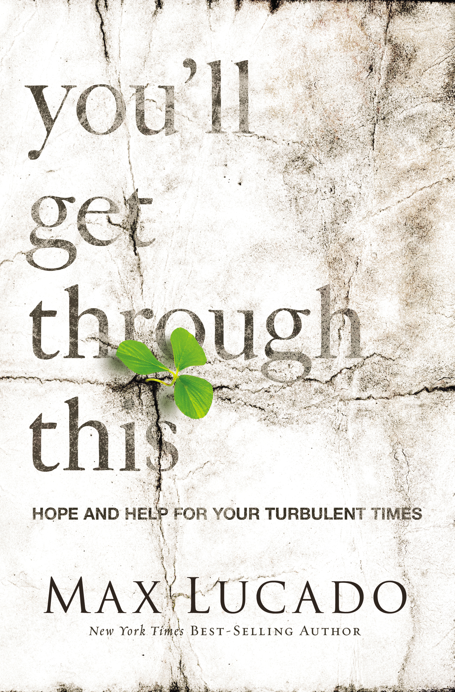 You'll Get Through This Hope and Help for Your Turbulent Times cover image