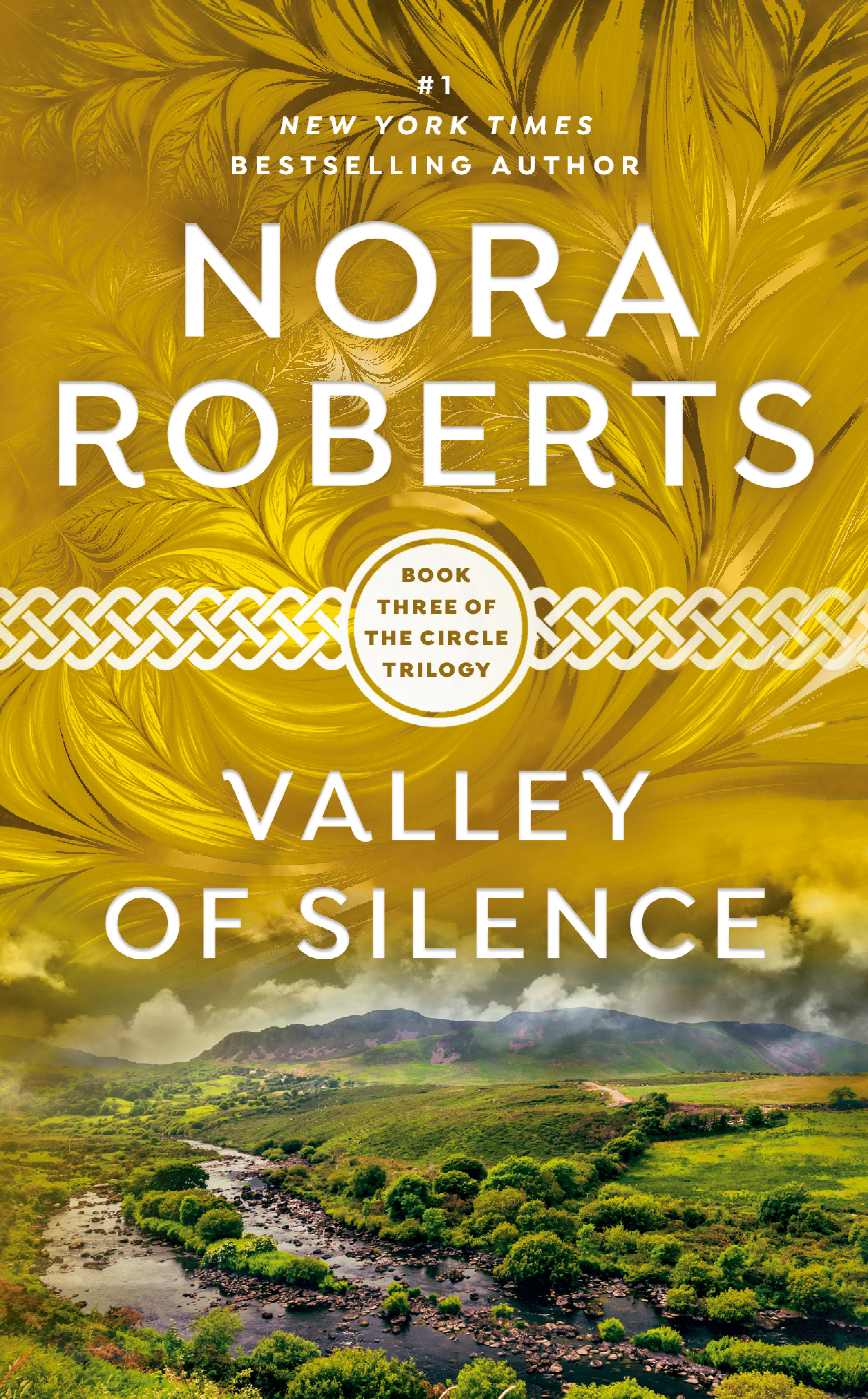 Cover image for Valley of Silence [electronic resource] :
