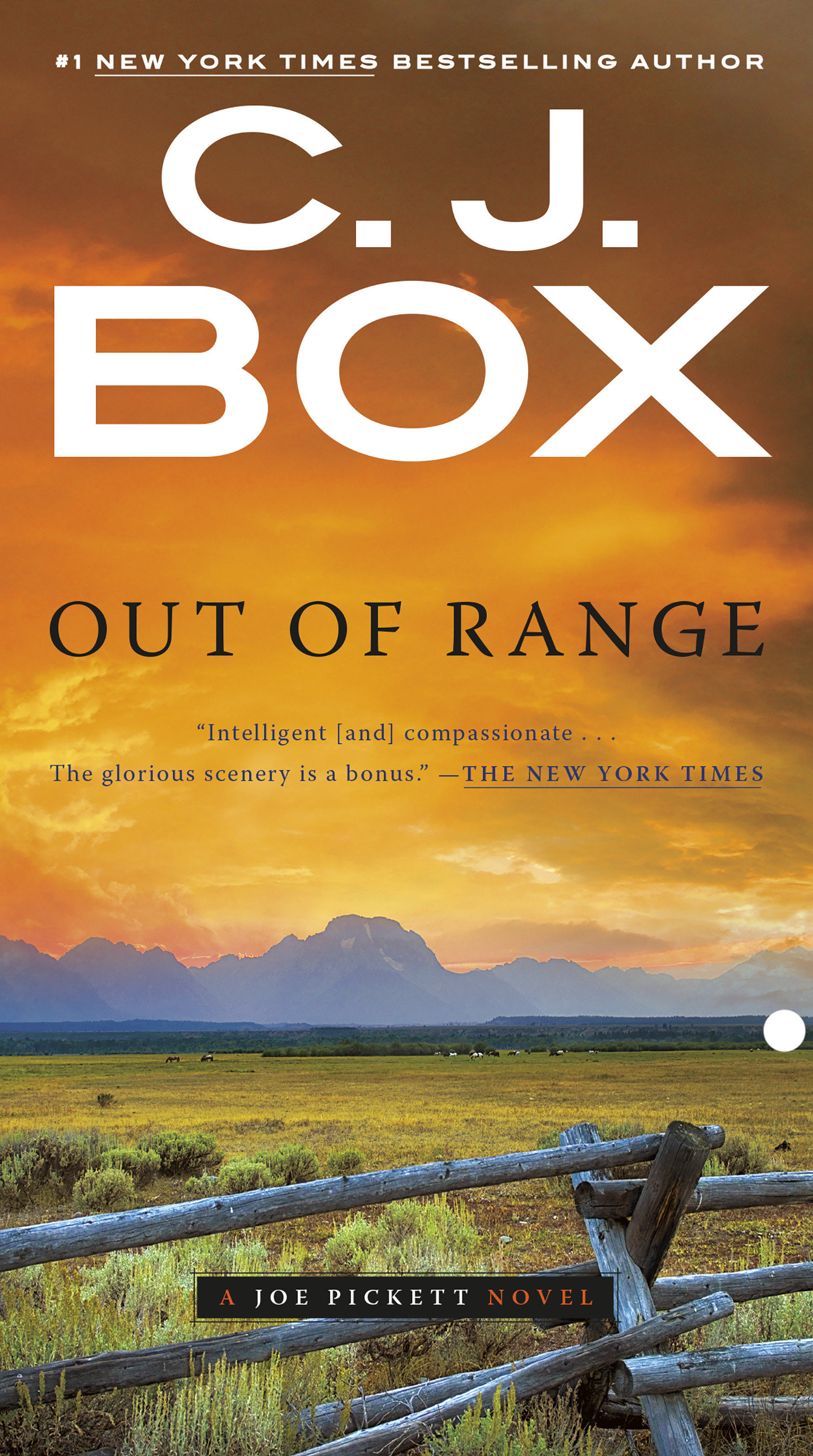 Cover image for Out of Range [electronic resource] :