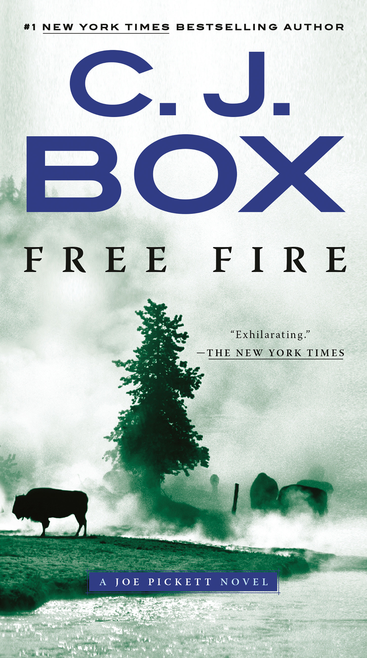 Umschlagbild für Free Fire [electronic resource] :