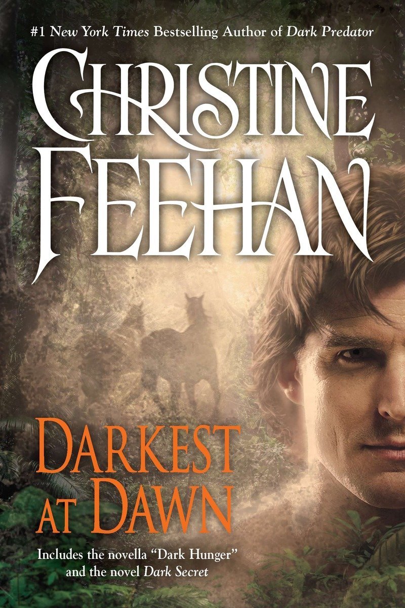 Cover image for Darkest at Dawn [electronic resource] :