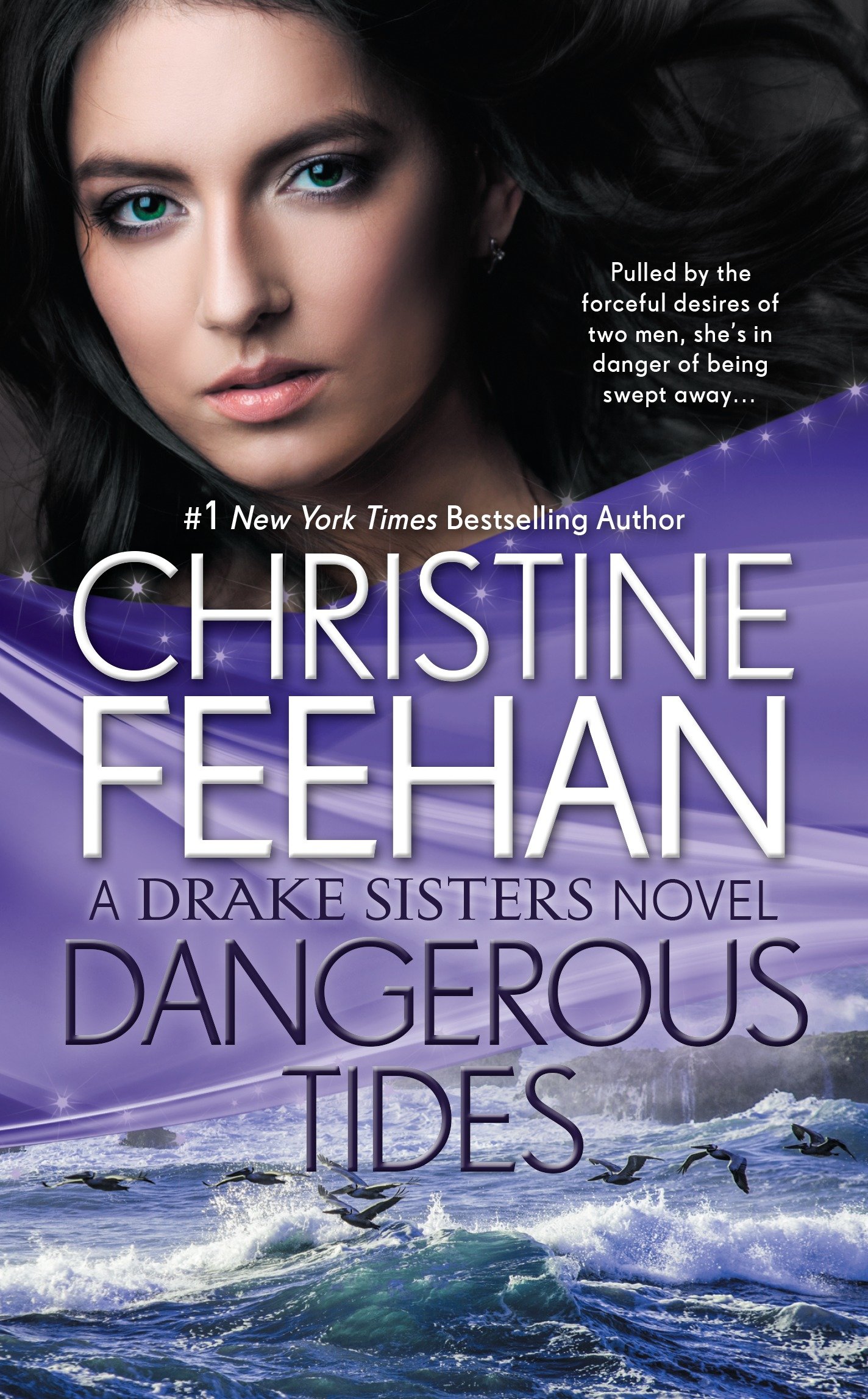 Cover image for Dangerous Tides [electronic resource] :