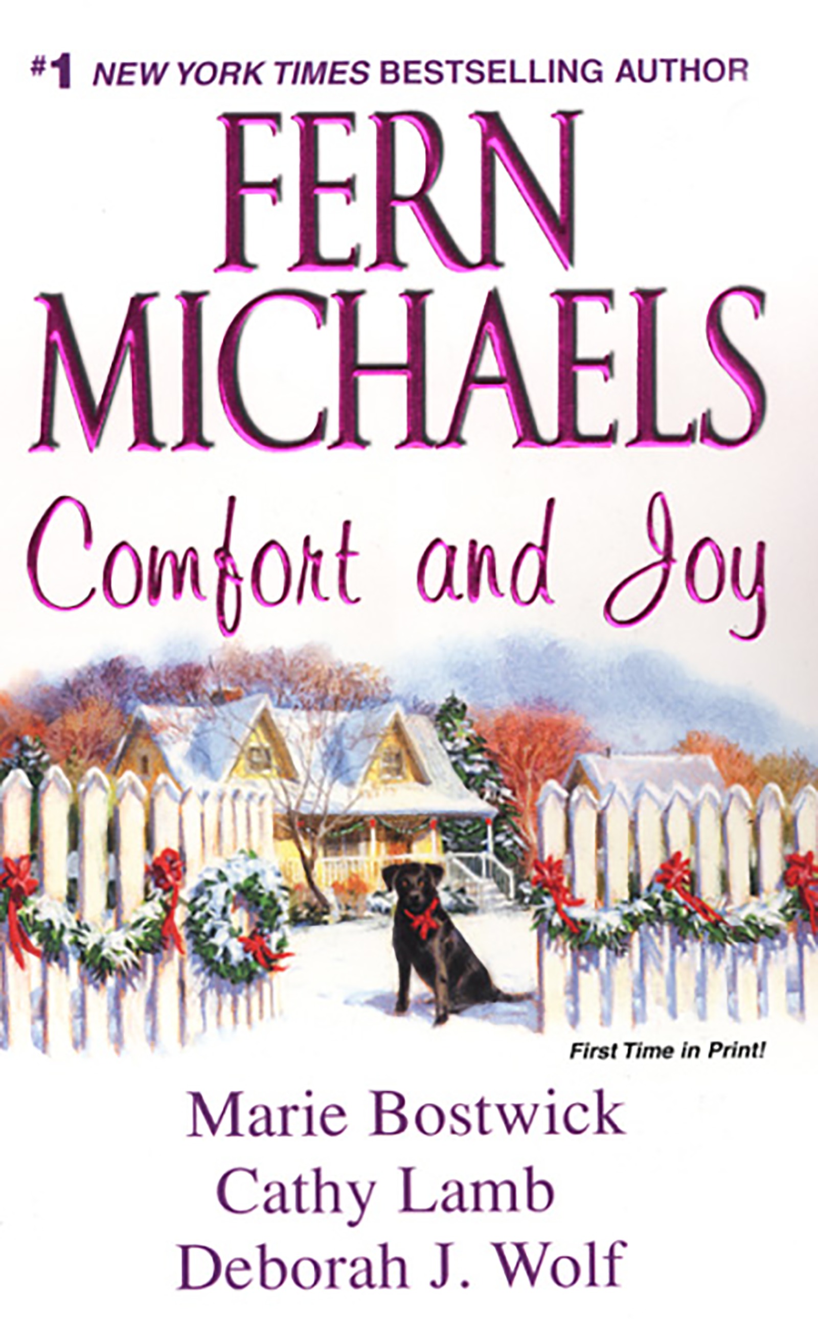 Cover image for Comfort And Joy [electronic resource] :