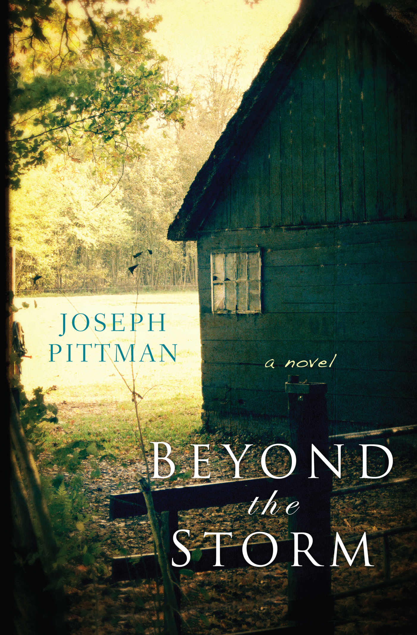 Cover image for Beyond the Storm [electronic resource] :