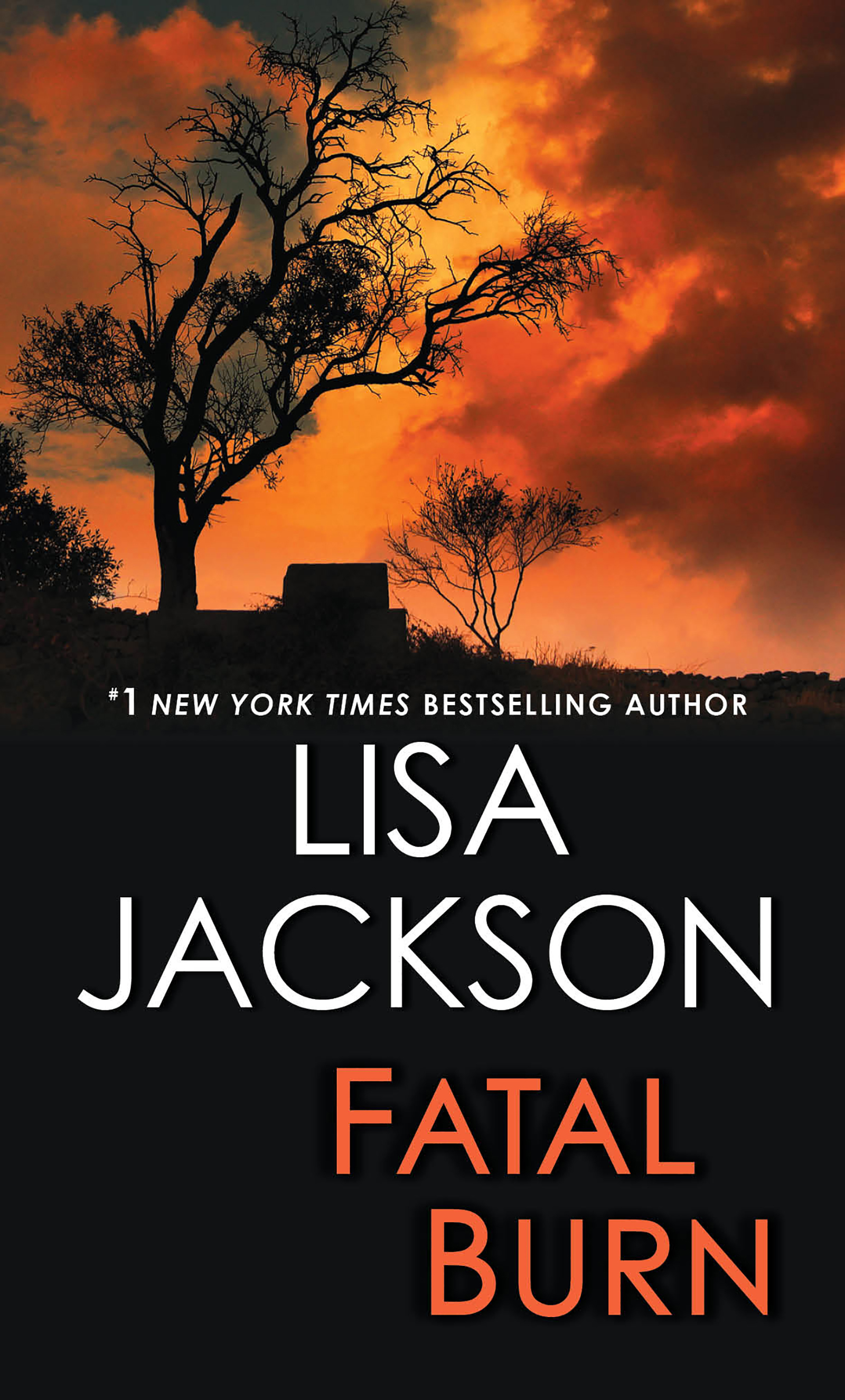 Cover image for Fatal Burn [electronic resource] :