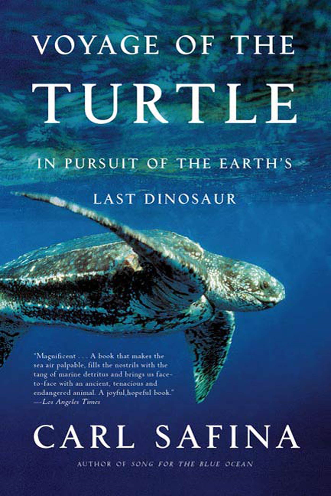 Voyage of the Turtle In Pursuit of the Earth's Last Dinosaur cover image