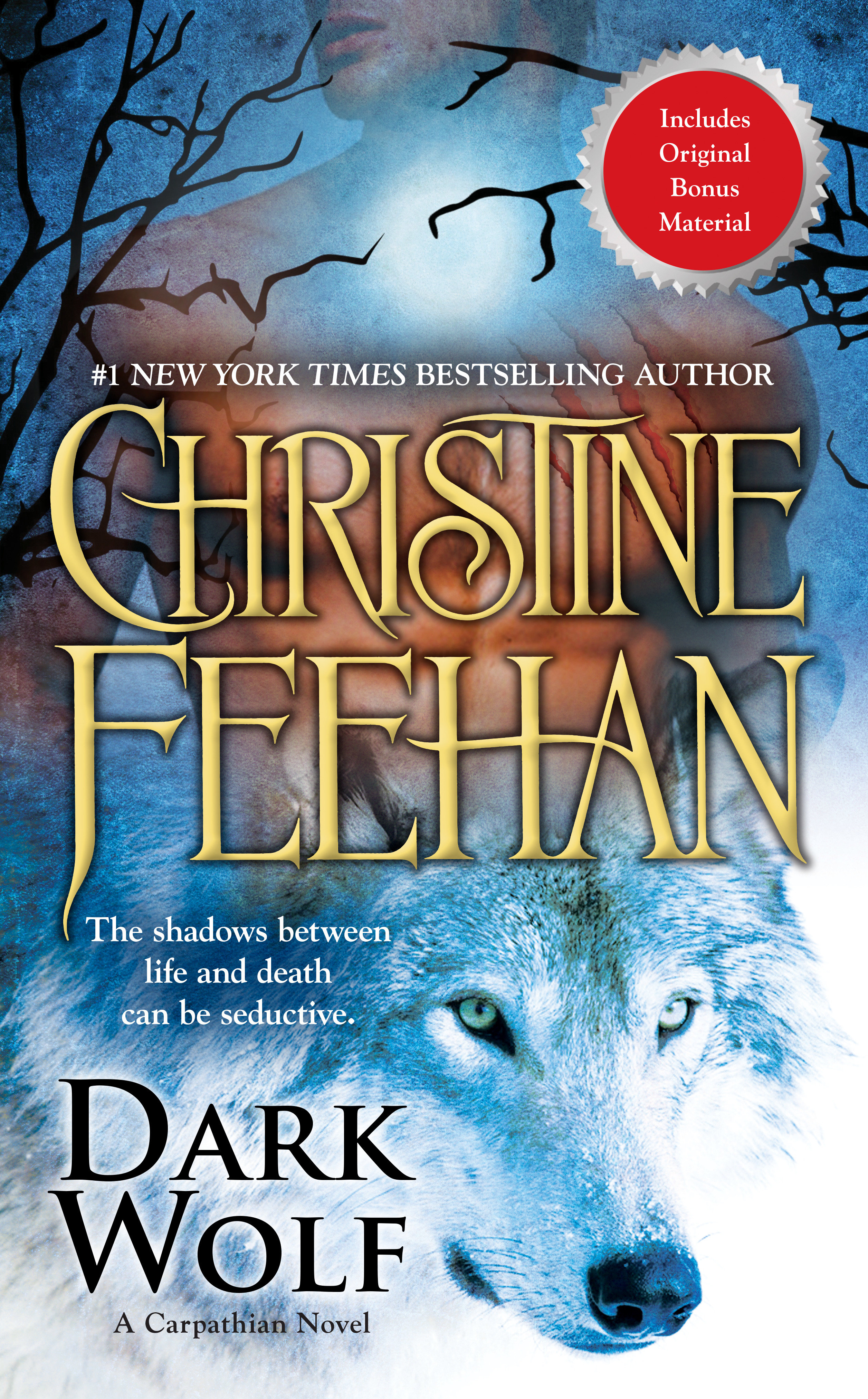 Cover image for Dark Wolf [electronic resource] :