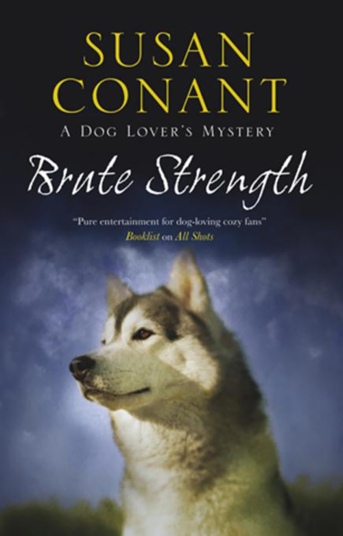 Imagen de portada para Brute Strength [electronic resource] :