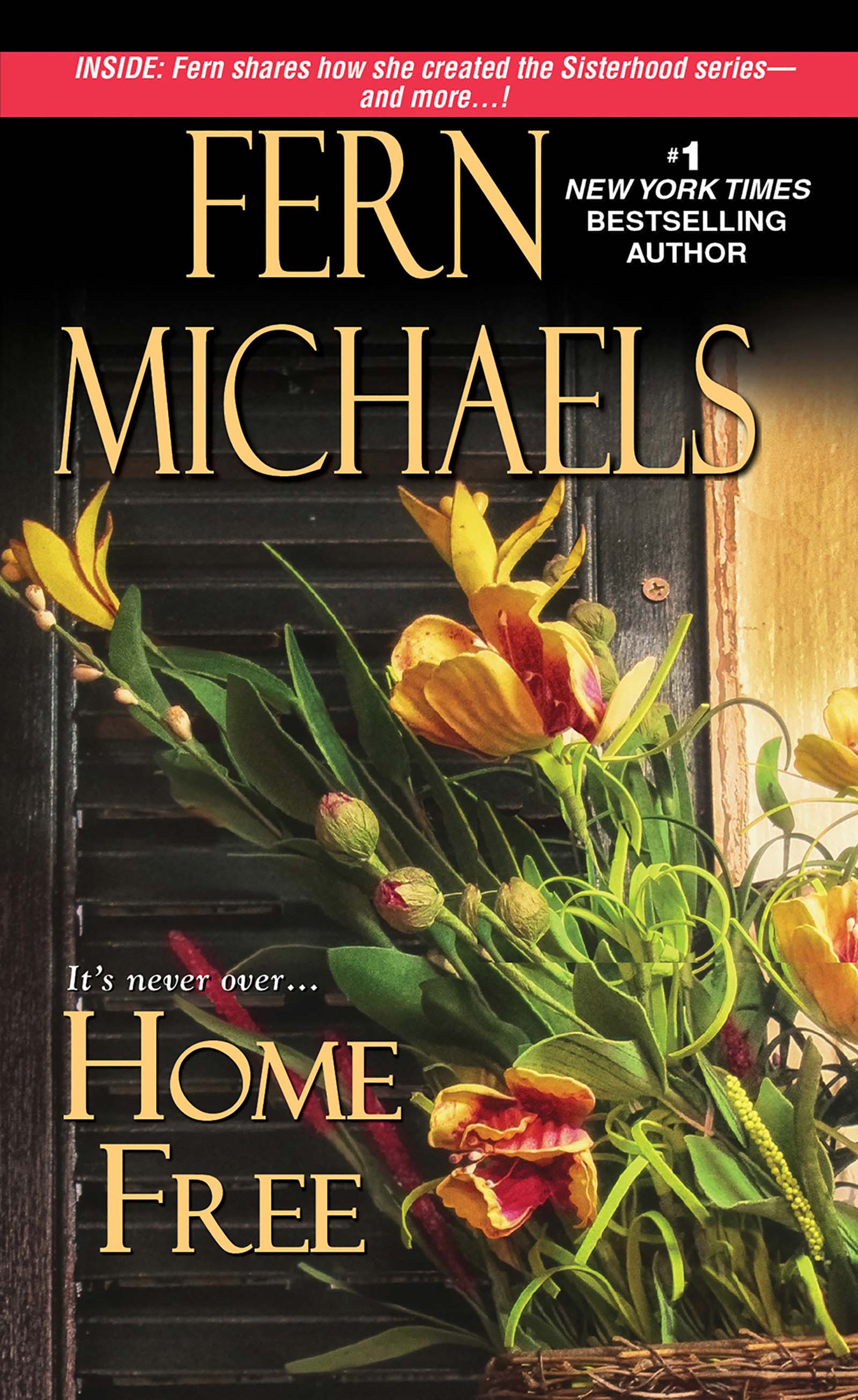 Cover image for Home Free [electronic resource] :