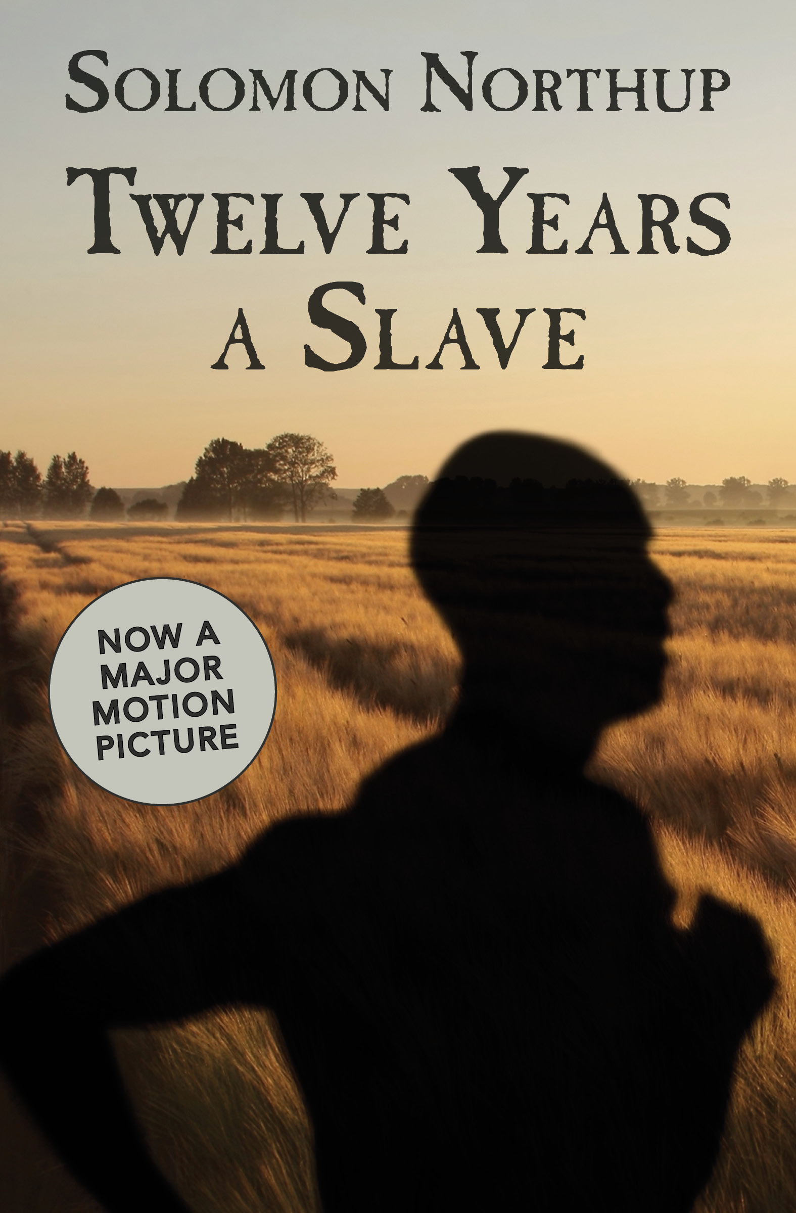 Cover image for Twelve Years a Slave [electronic resource] :