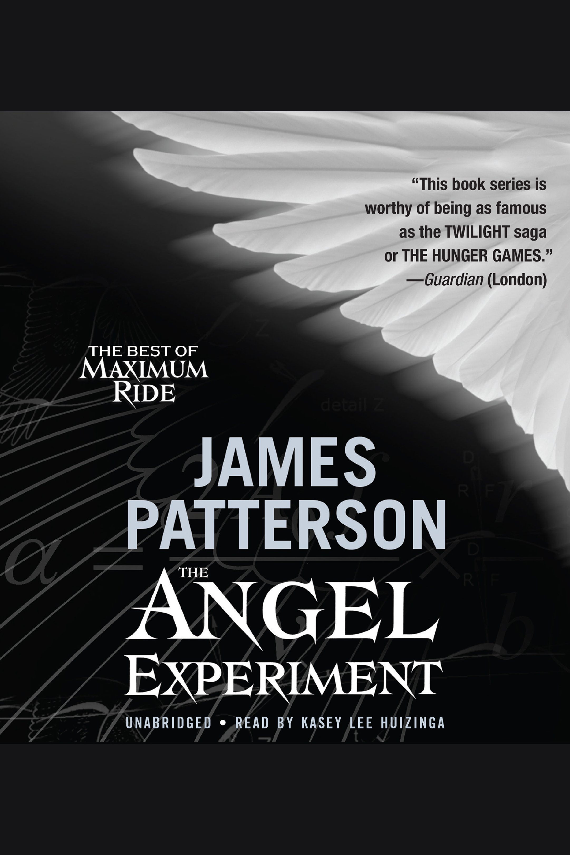 Cover image for The Angel Experiment [electronic resource] :
