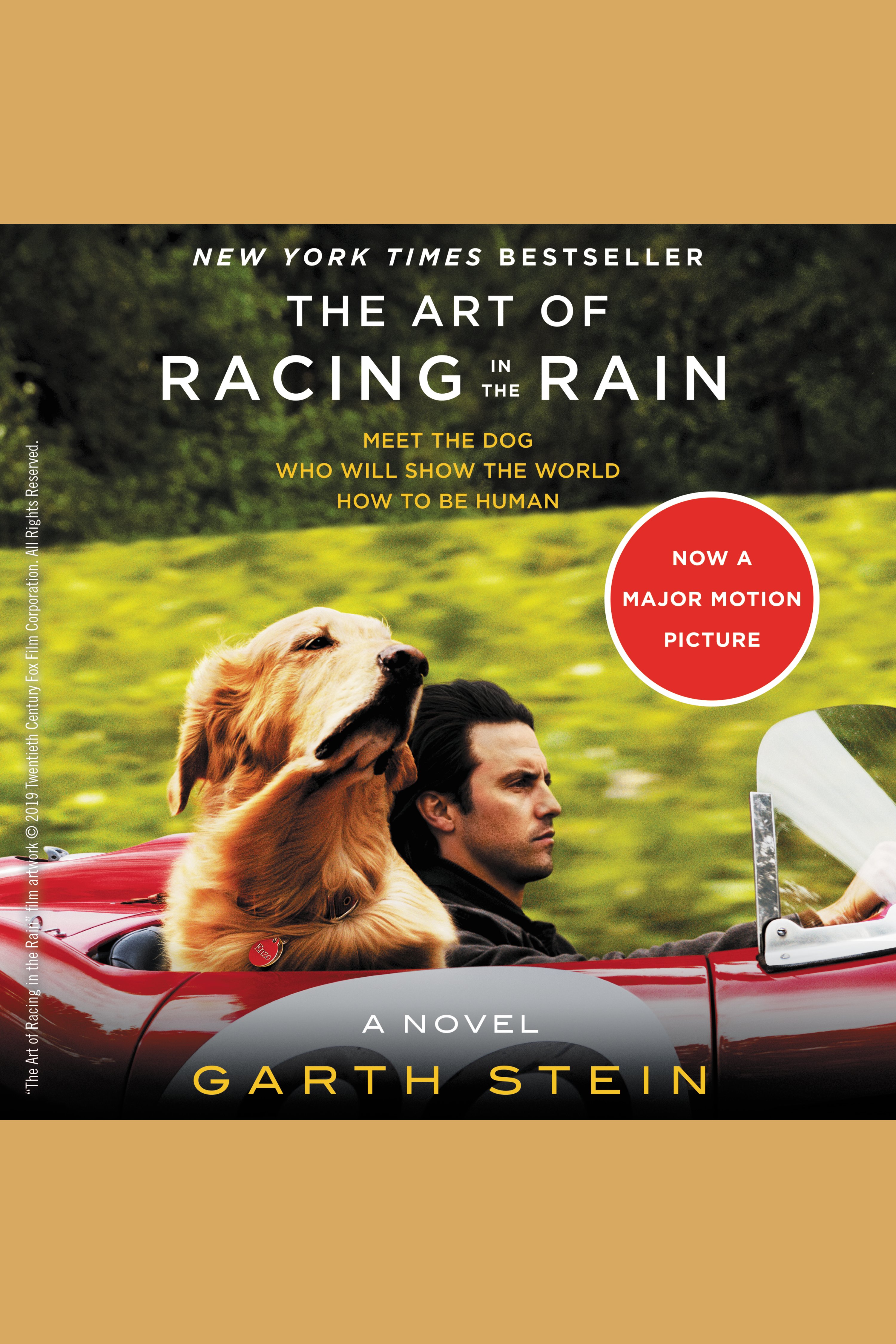 Image de couverture de The Art of Racing in the Rain [electronic resource] :