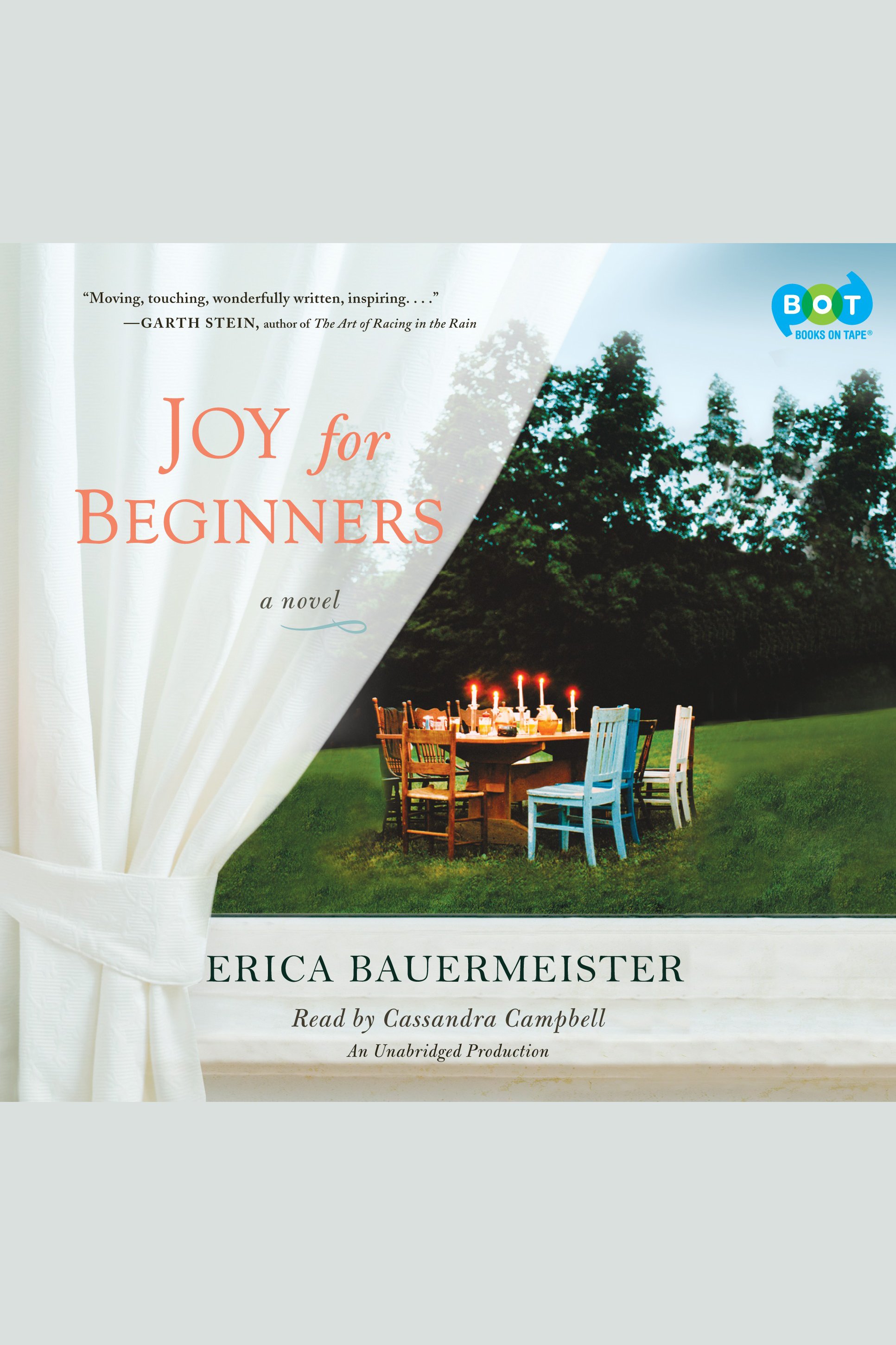 Joy for beginners cover image