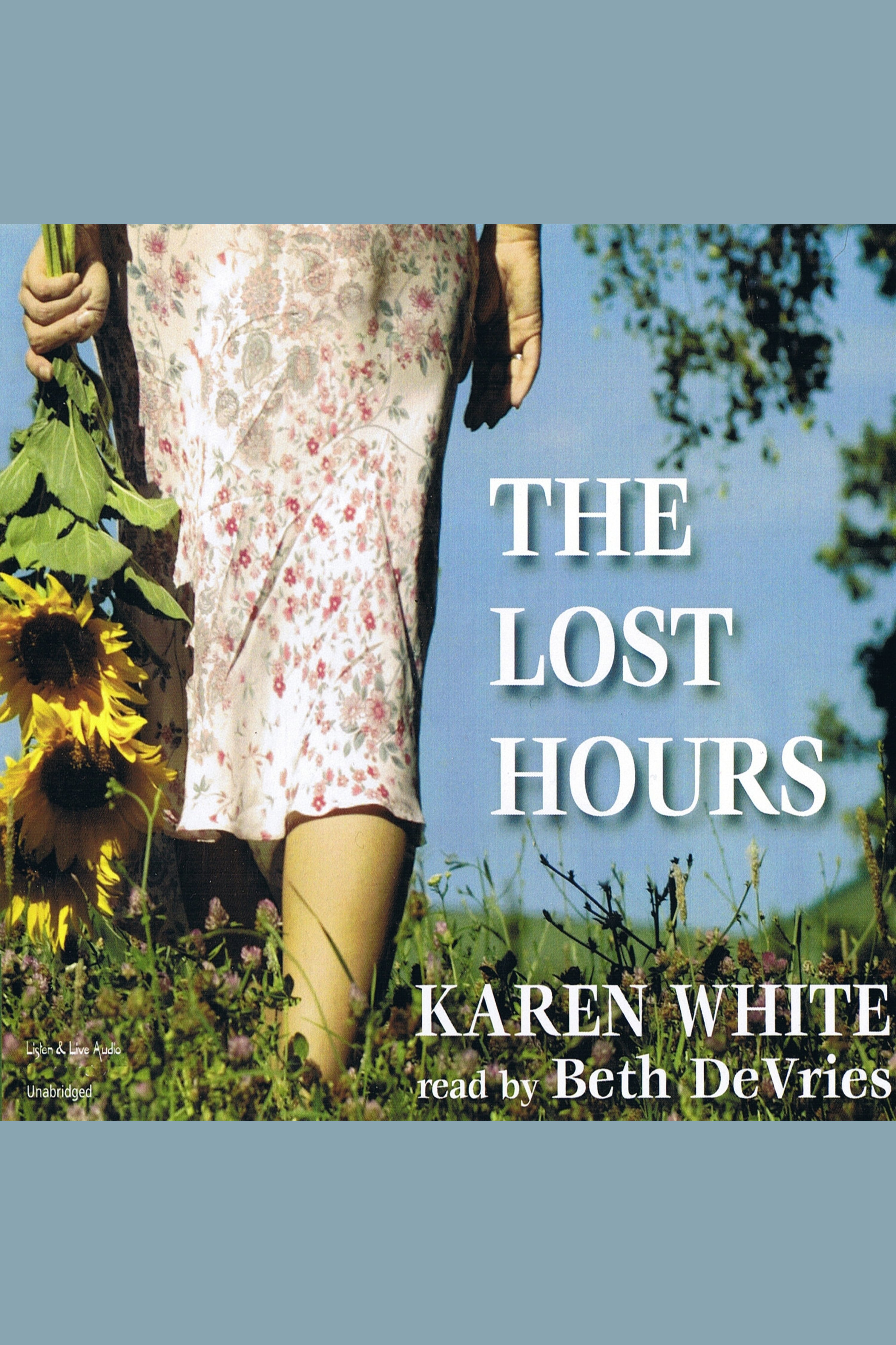 Umschlagbild für The Lost Hours [electronic resource] :