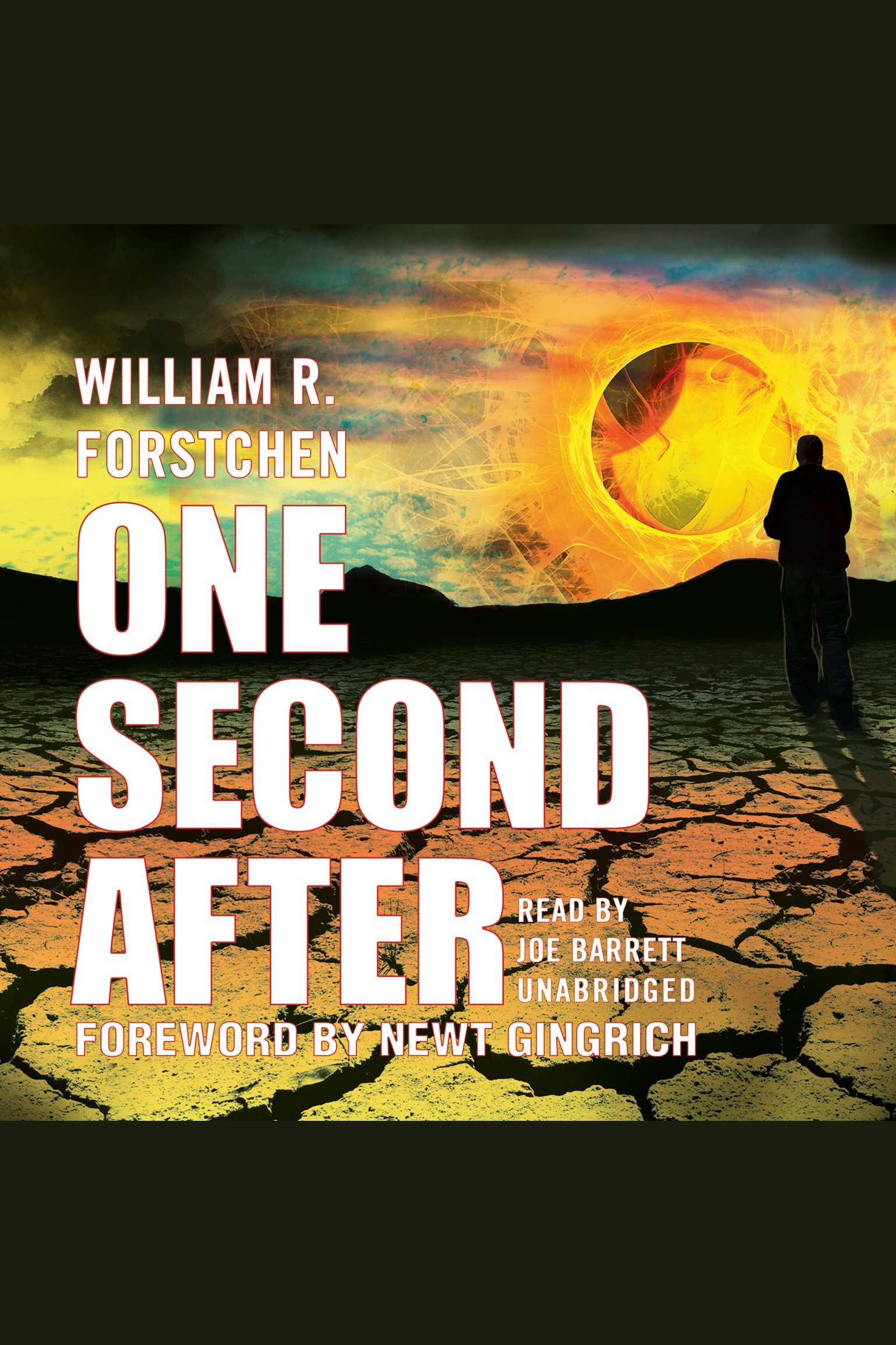 Cover image for One Second After [electronic resource] :