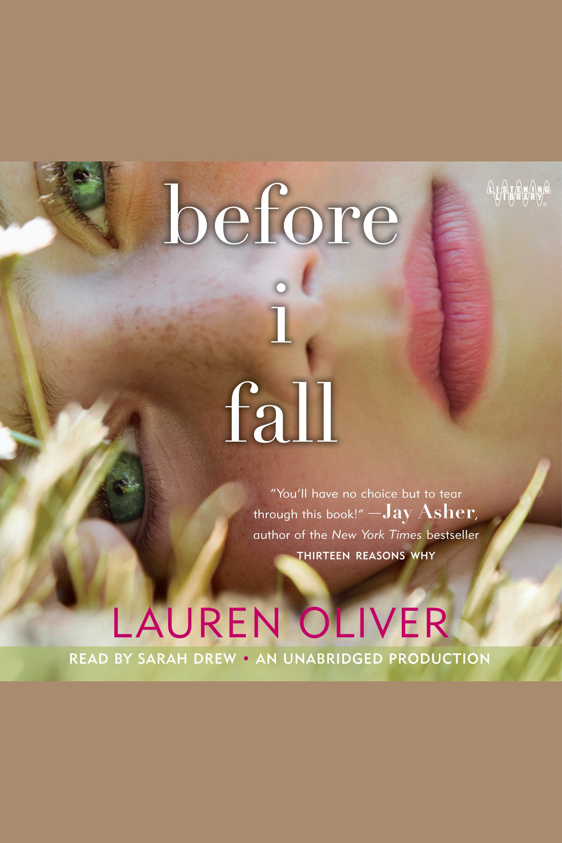 Cover image for Before I Fall [electronic resource] :