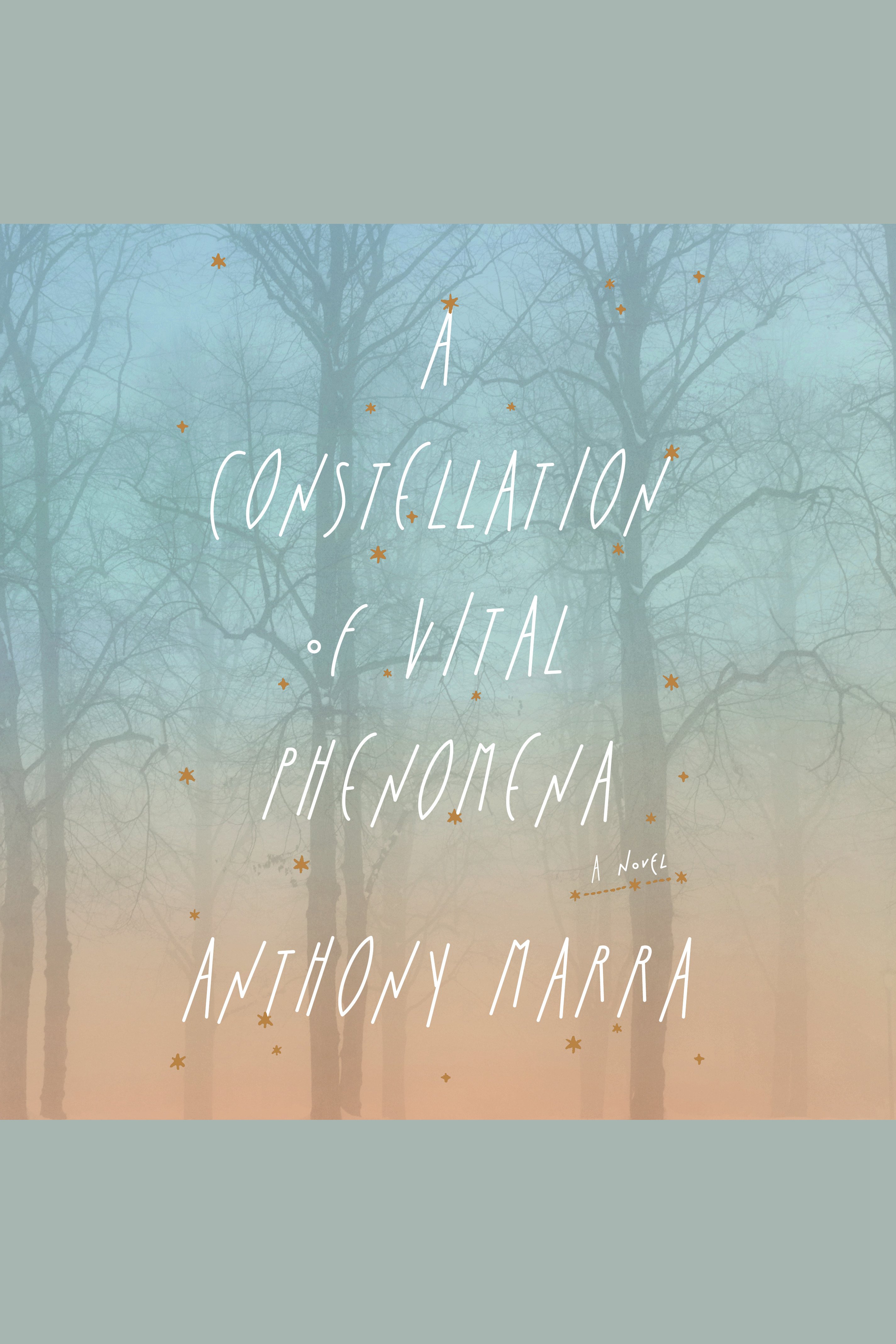 Cover image for Constellation of Vital Phenomena, A [electronic resource] : A Novel