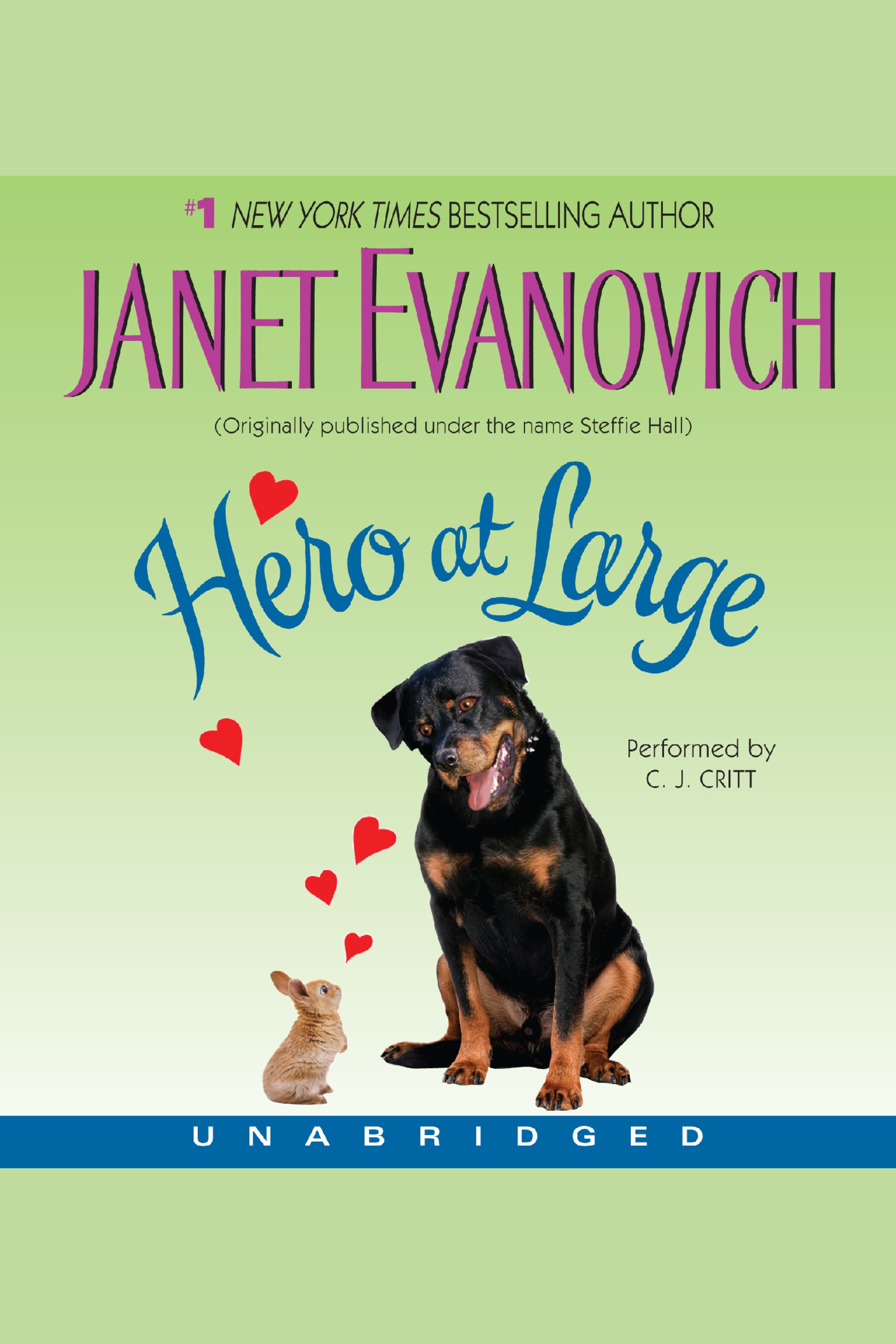 Cover image for Hero at Large [electronic resource] :