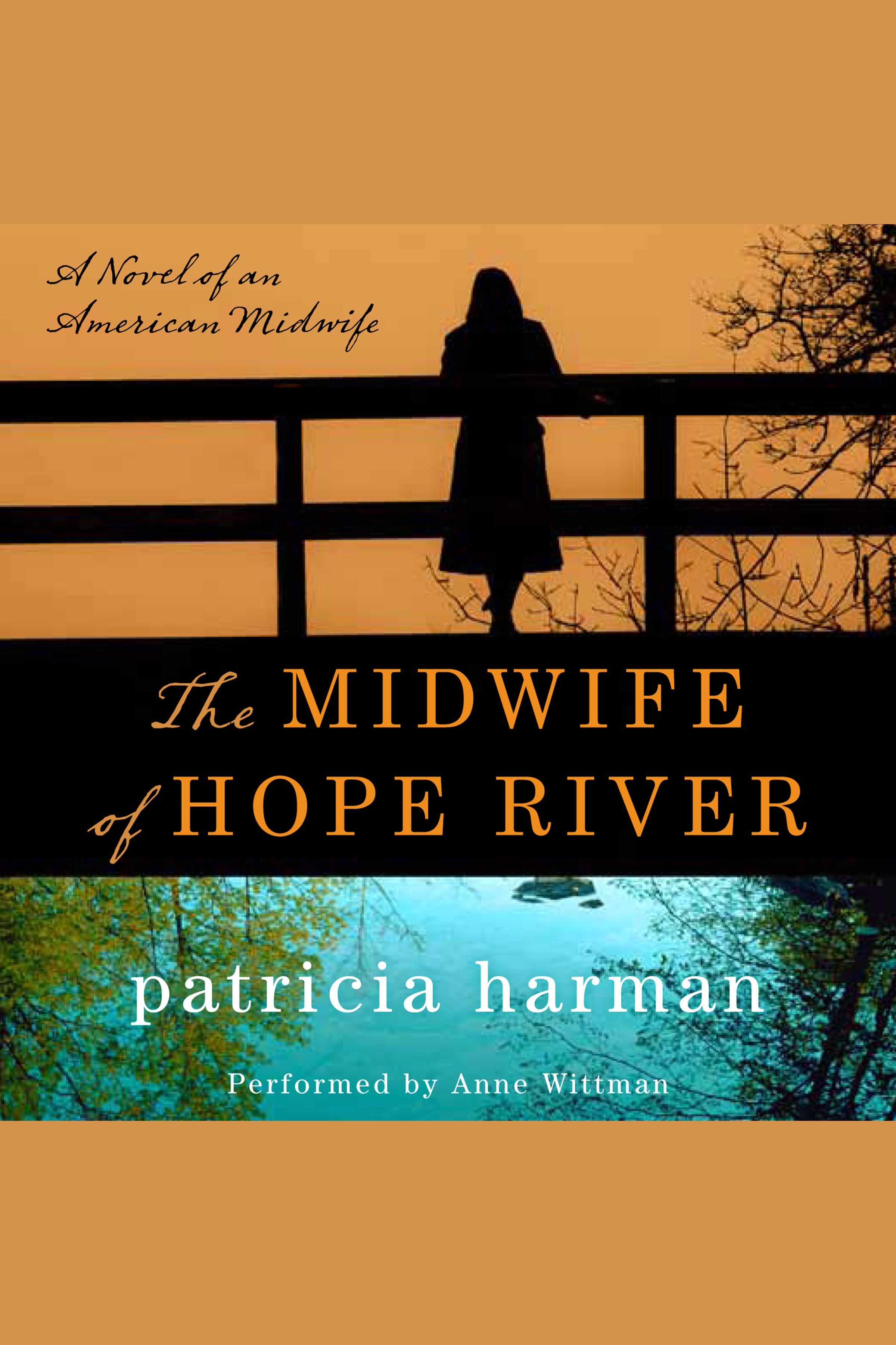 Image de couverture de The Midwife of Hope River [electronic resource] :