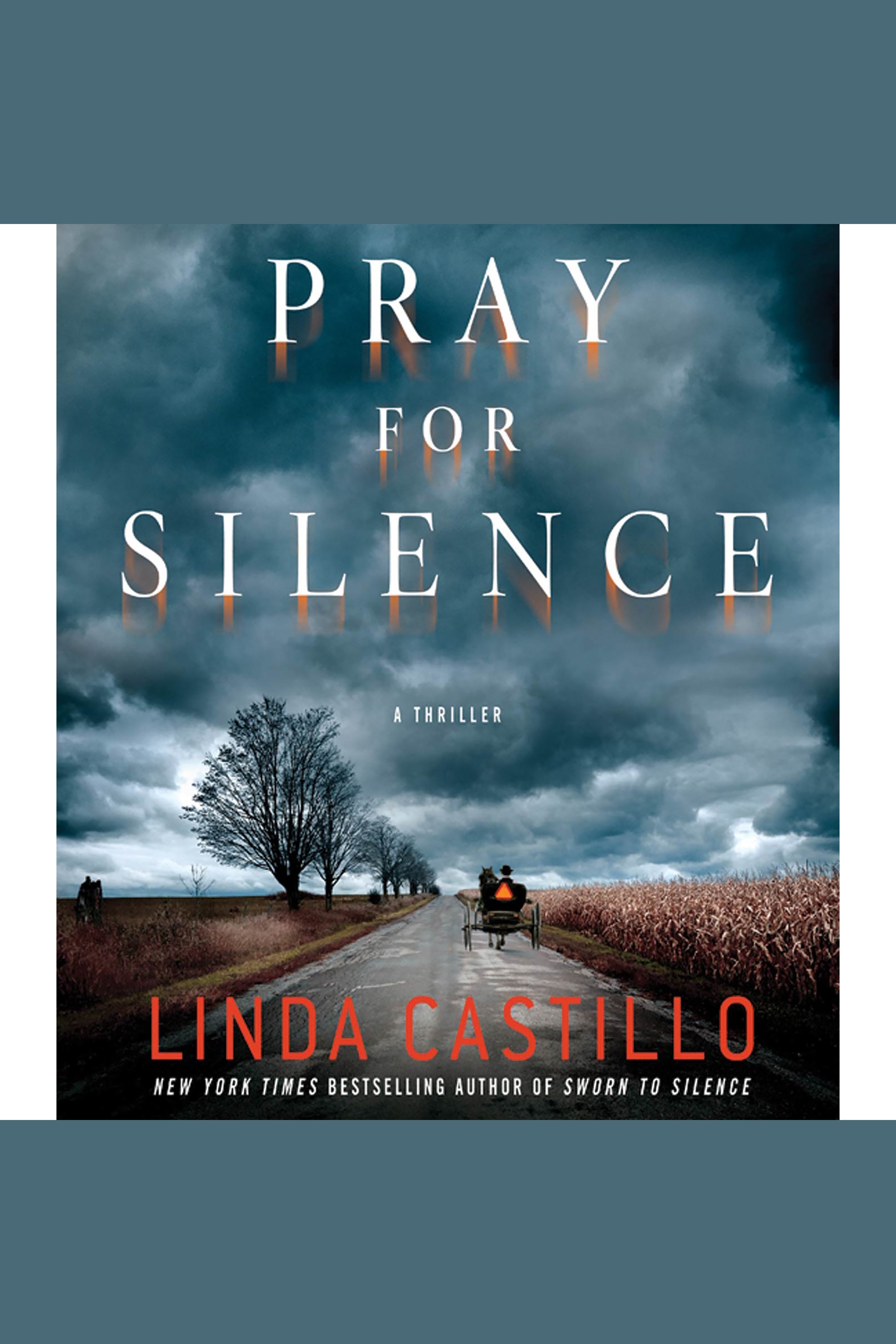 Imagen de portada para Pray for Silence [electronic resource] : A Thriller