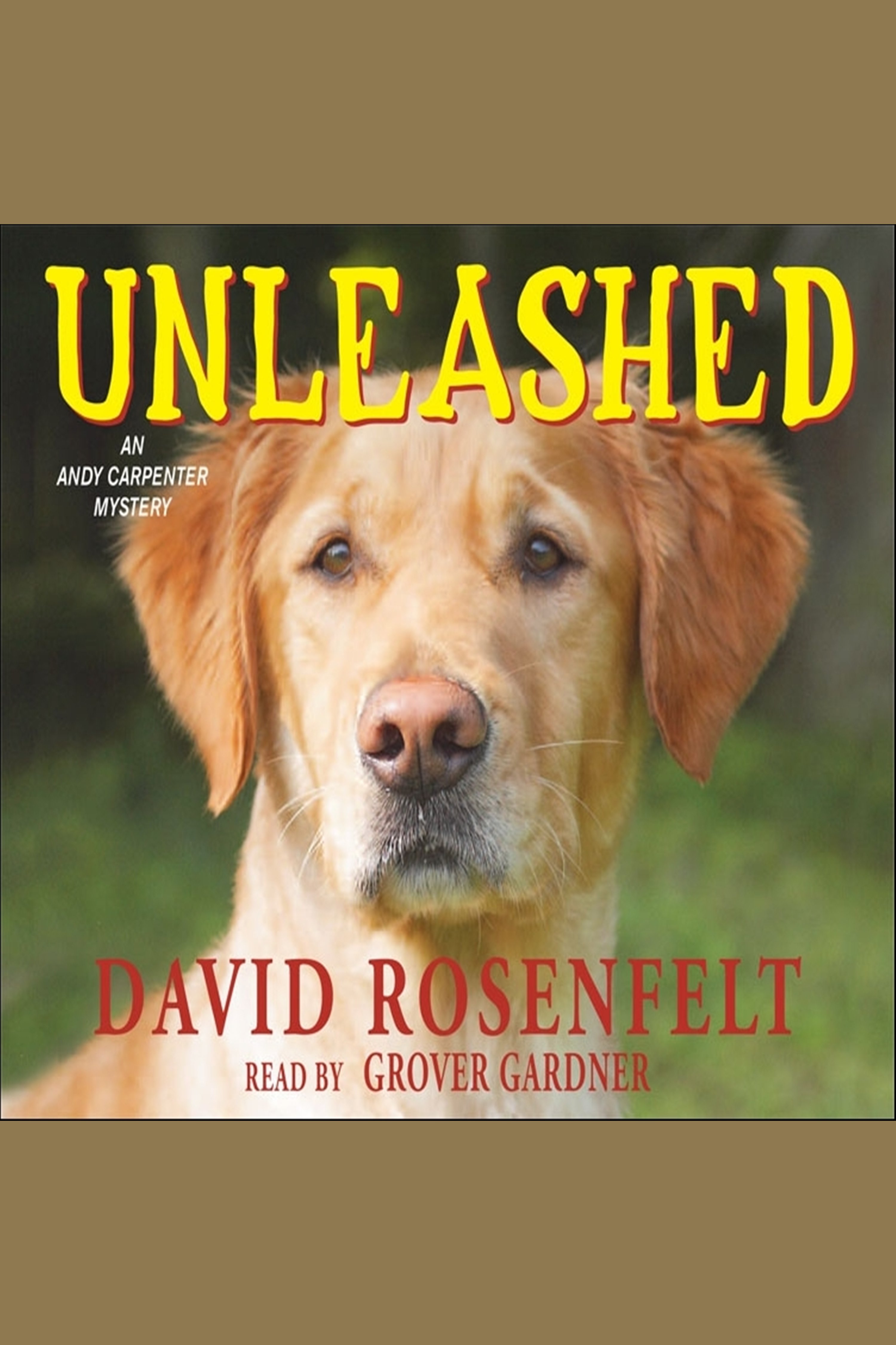Cover image for Unleashed [electronic resource] :