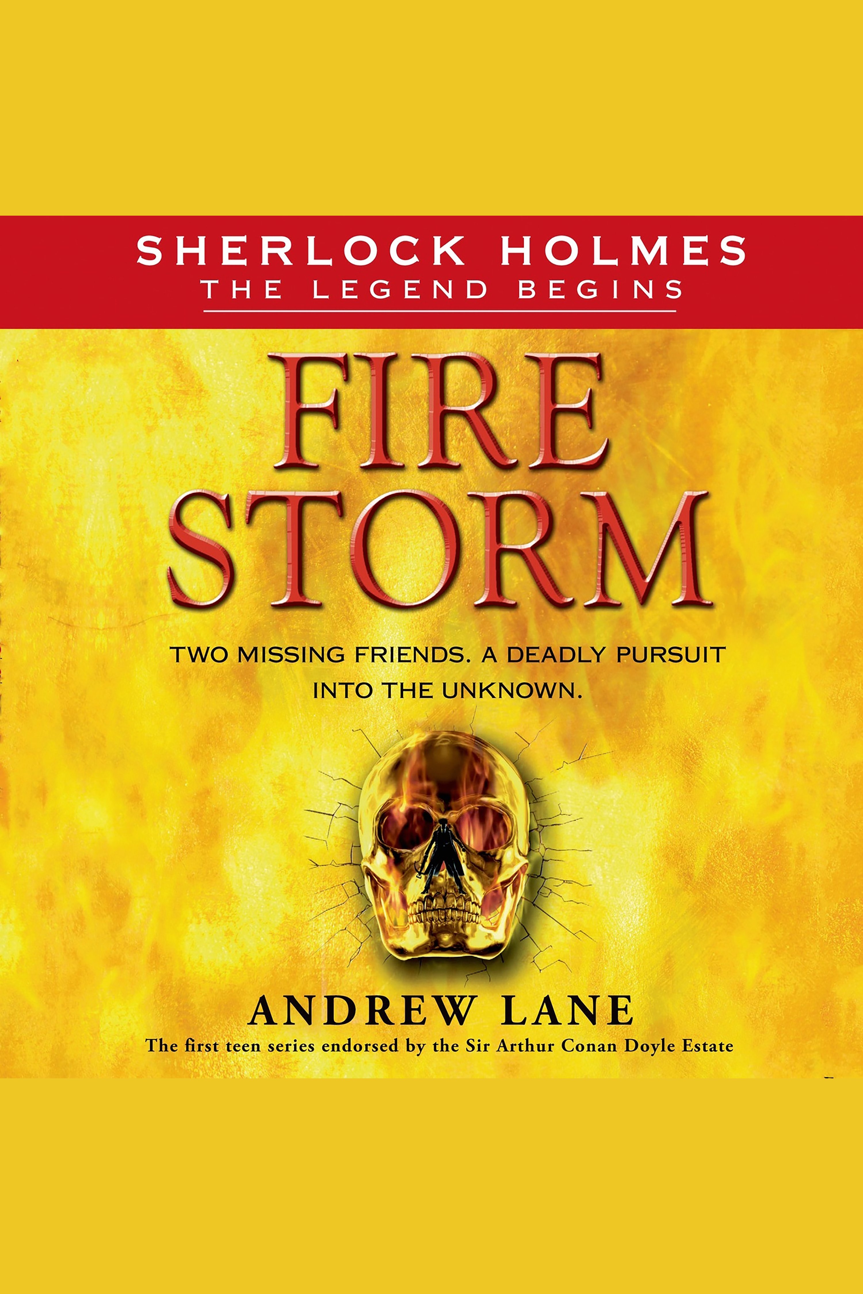 Fire storm cover image