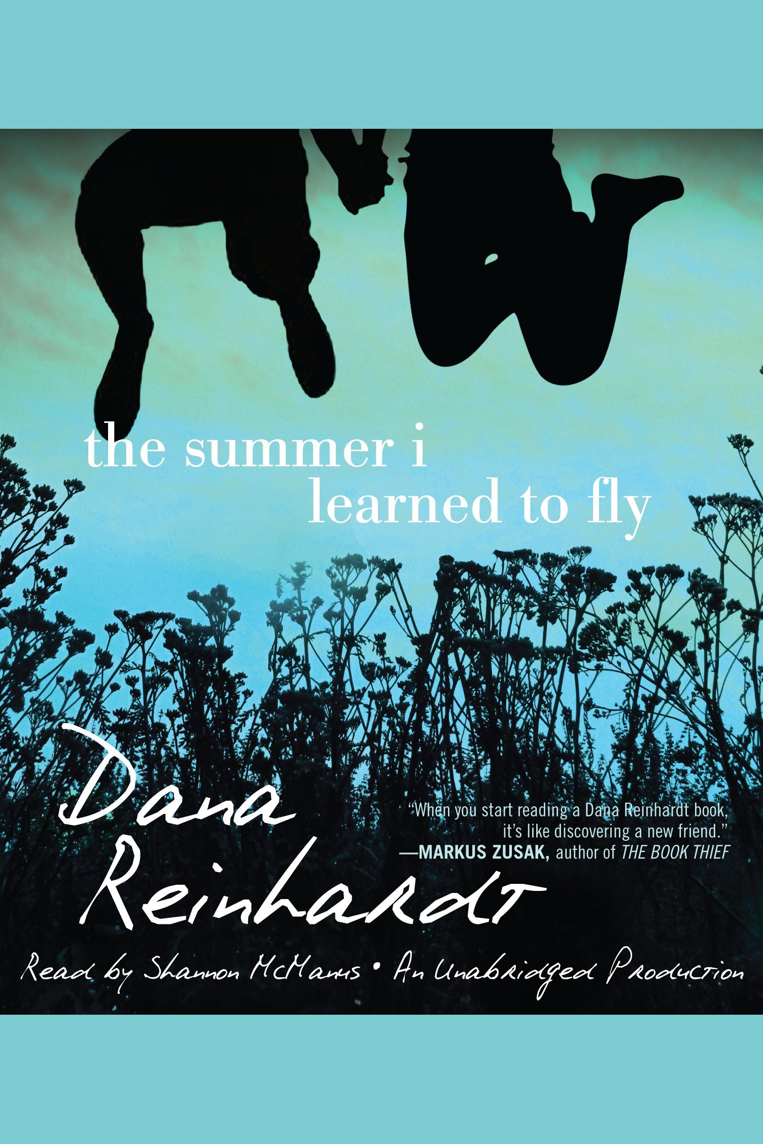 The summer I learned to fly cover image