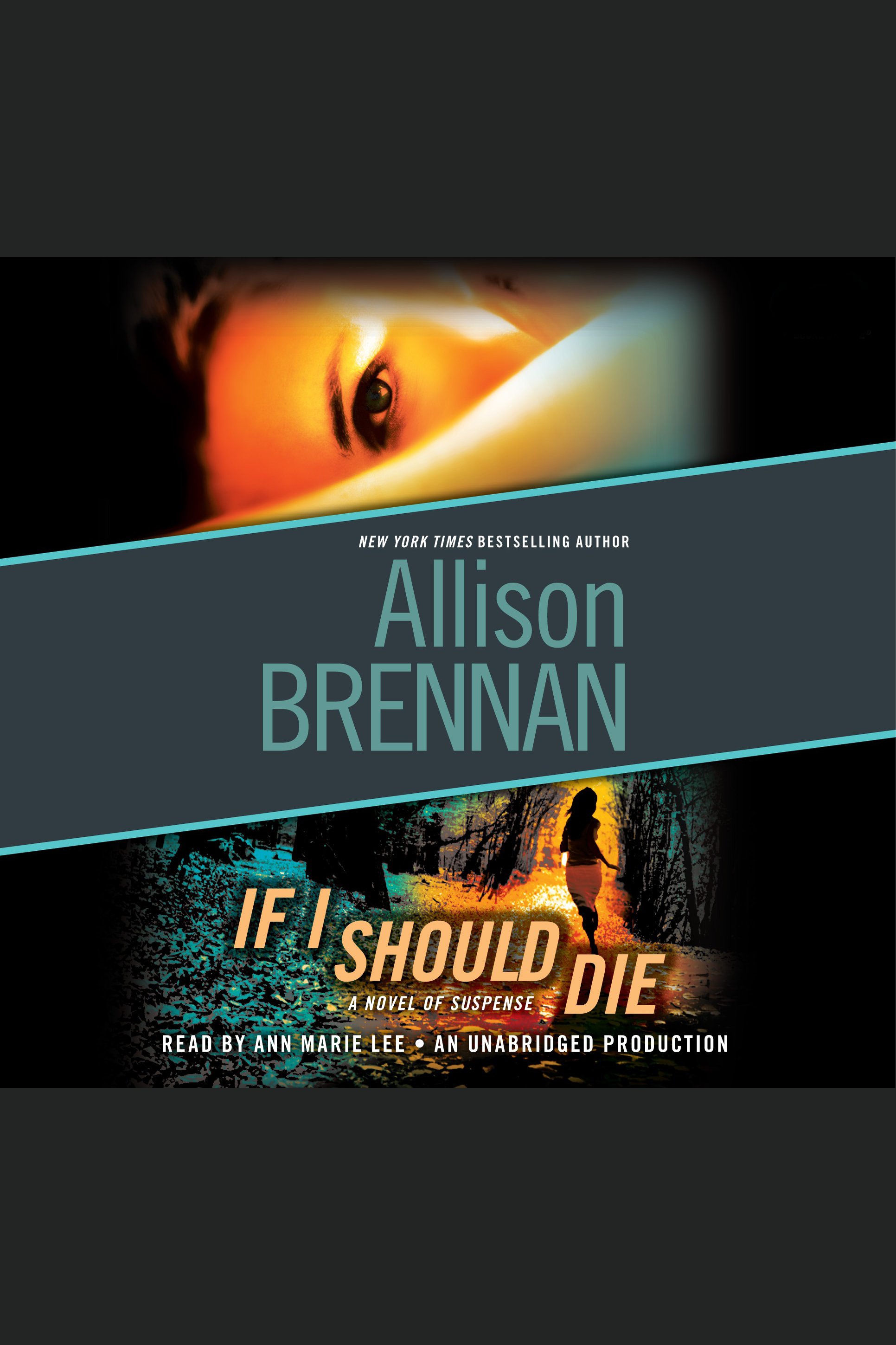 Cover image for If I Should Die [electronic resource] : A Novel of Suspense