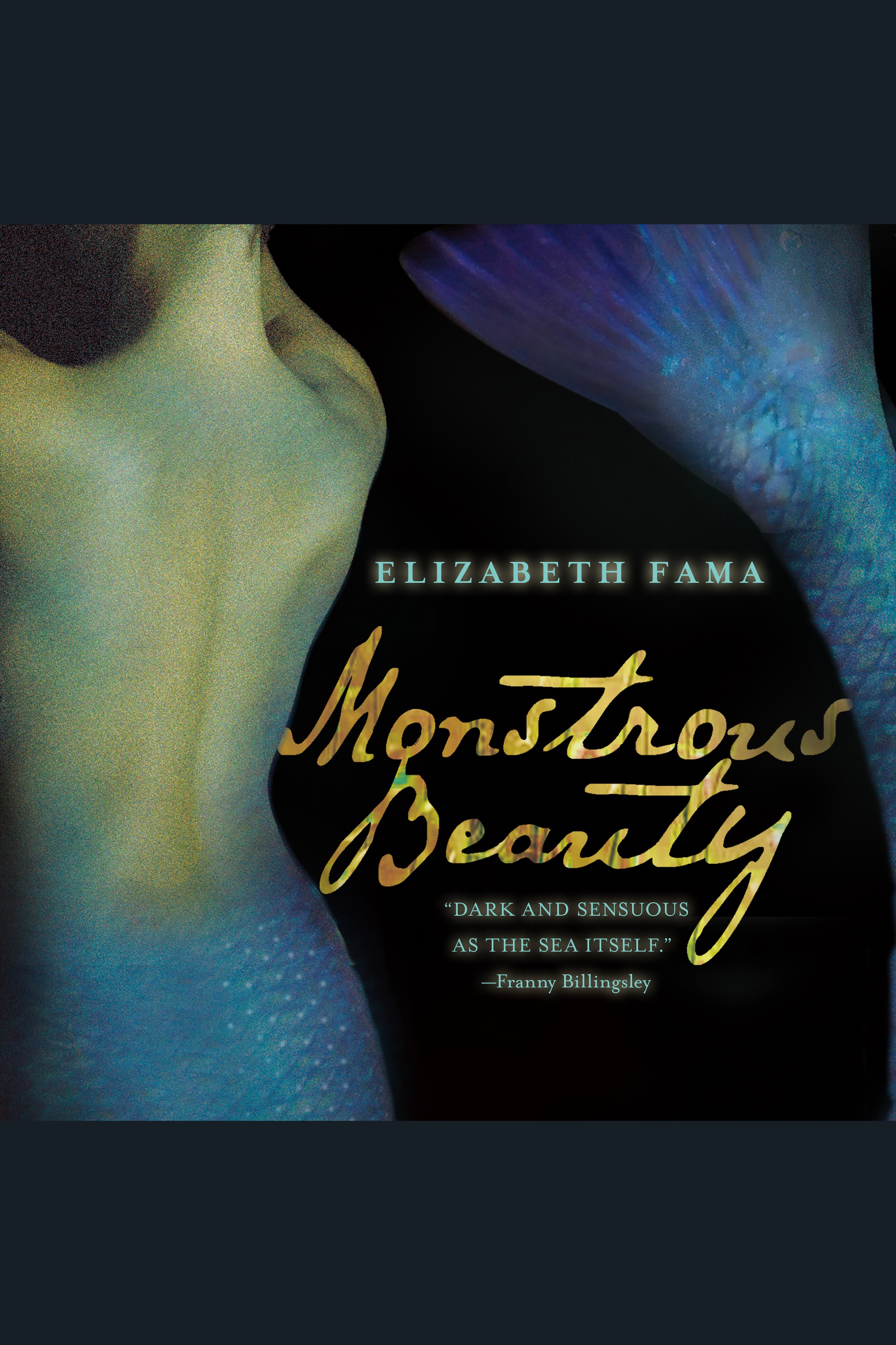 Cover image for Monstrous Beauty [electronic resource] :