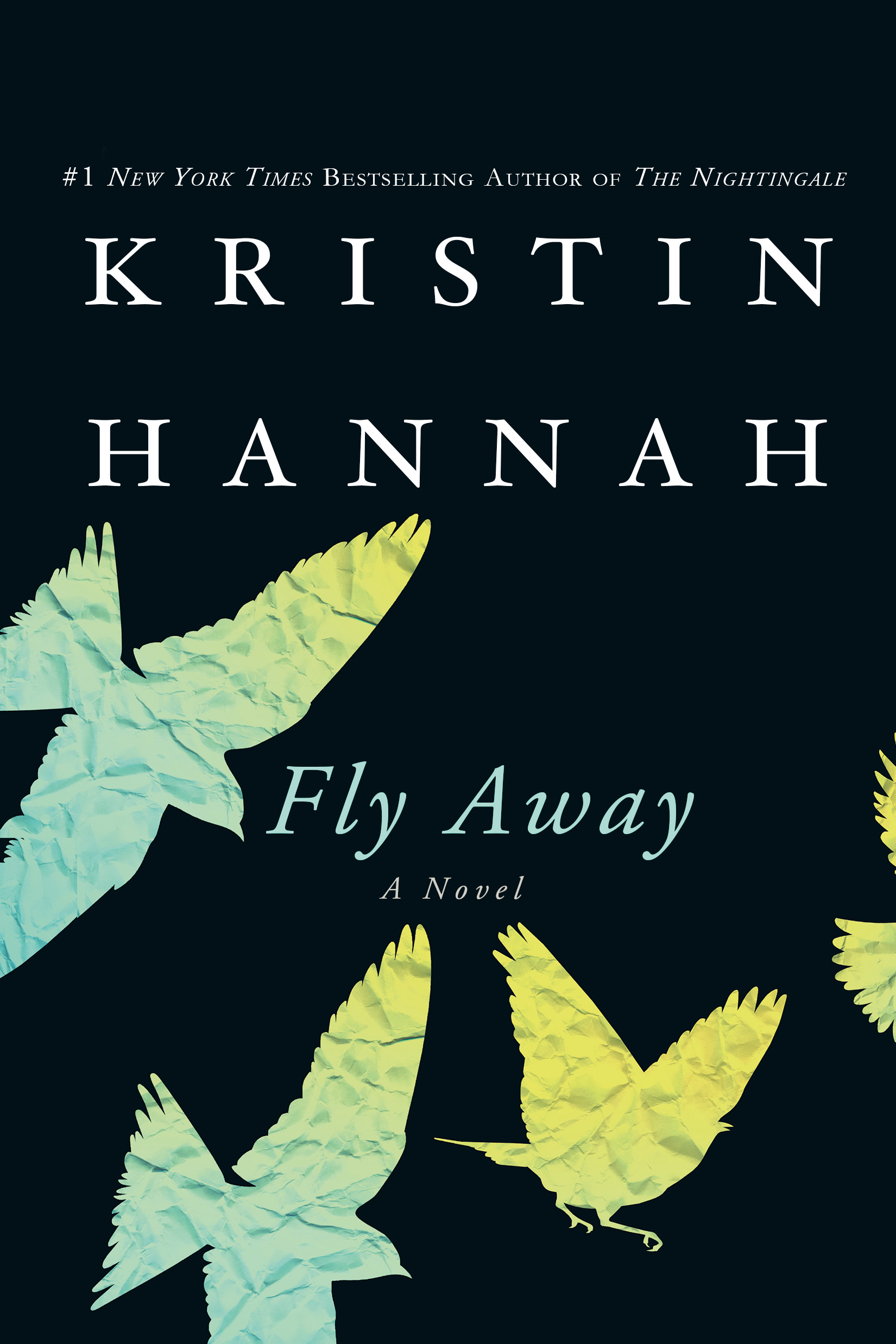Imagen de portada para Fly Away [electronic resource] : A Novel