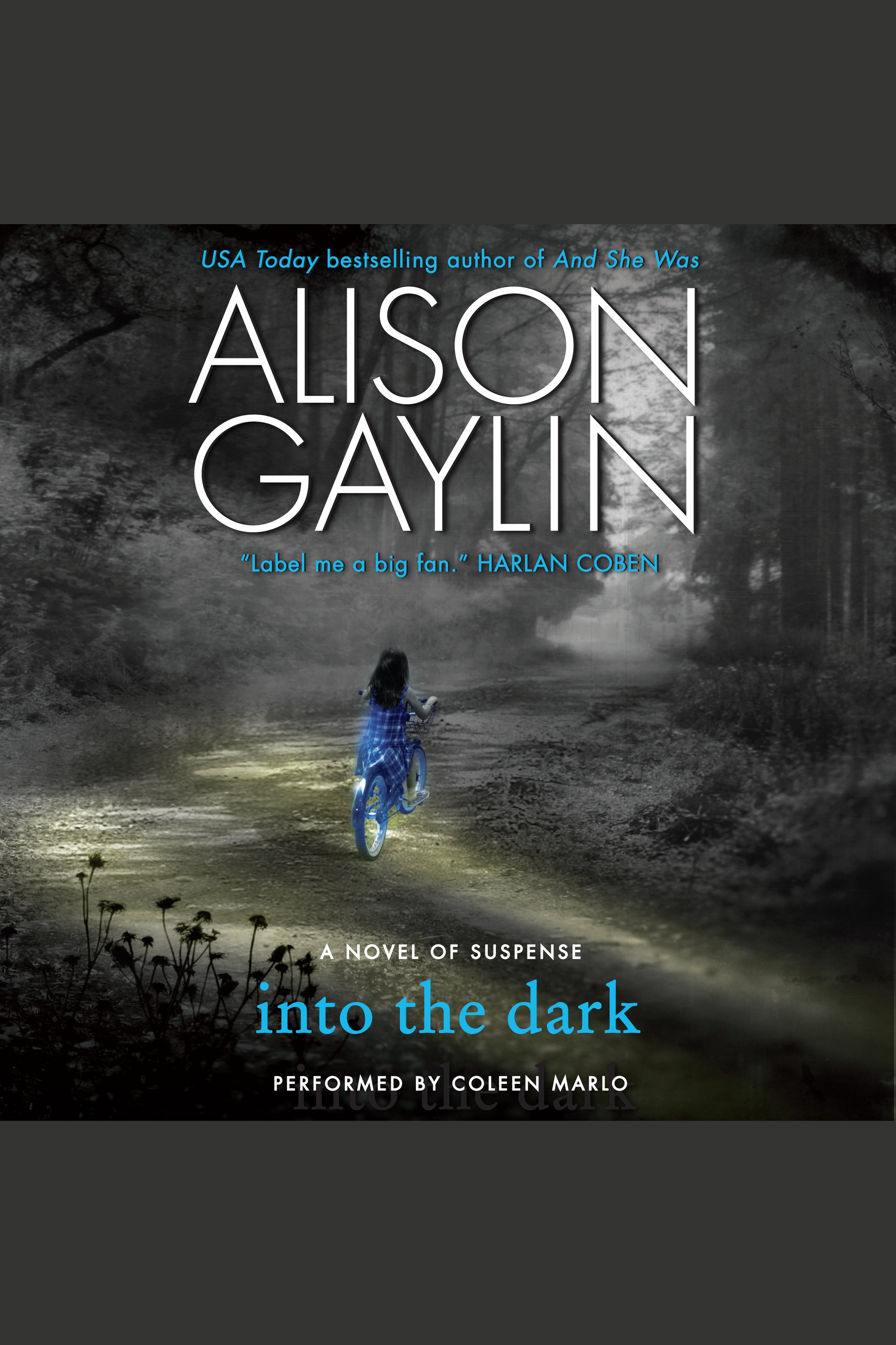 Imagen de portada para Into the Dark [electronic resource] : A Novel of Suspense