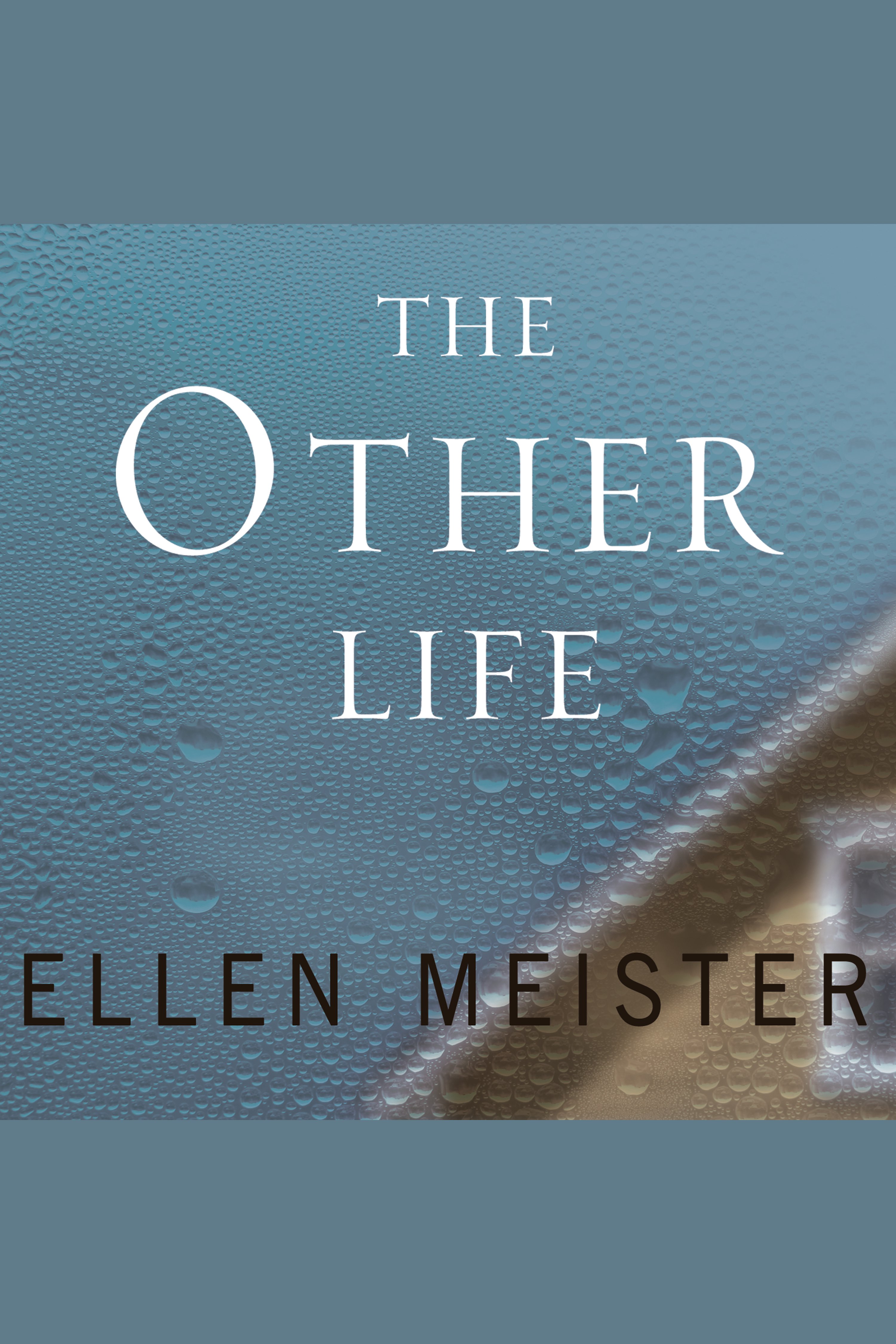 The other life cover image