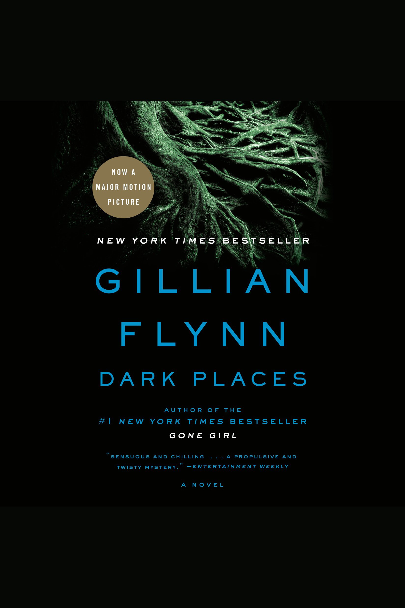 Cover image for Dark Places [electronic resource] : A Novel