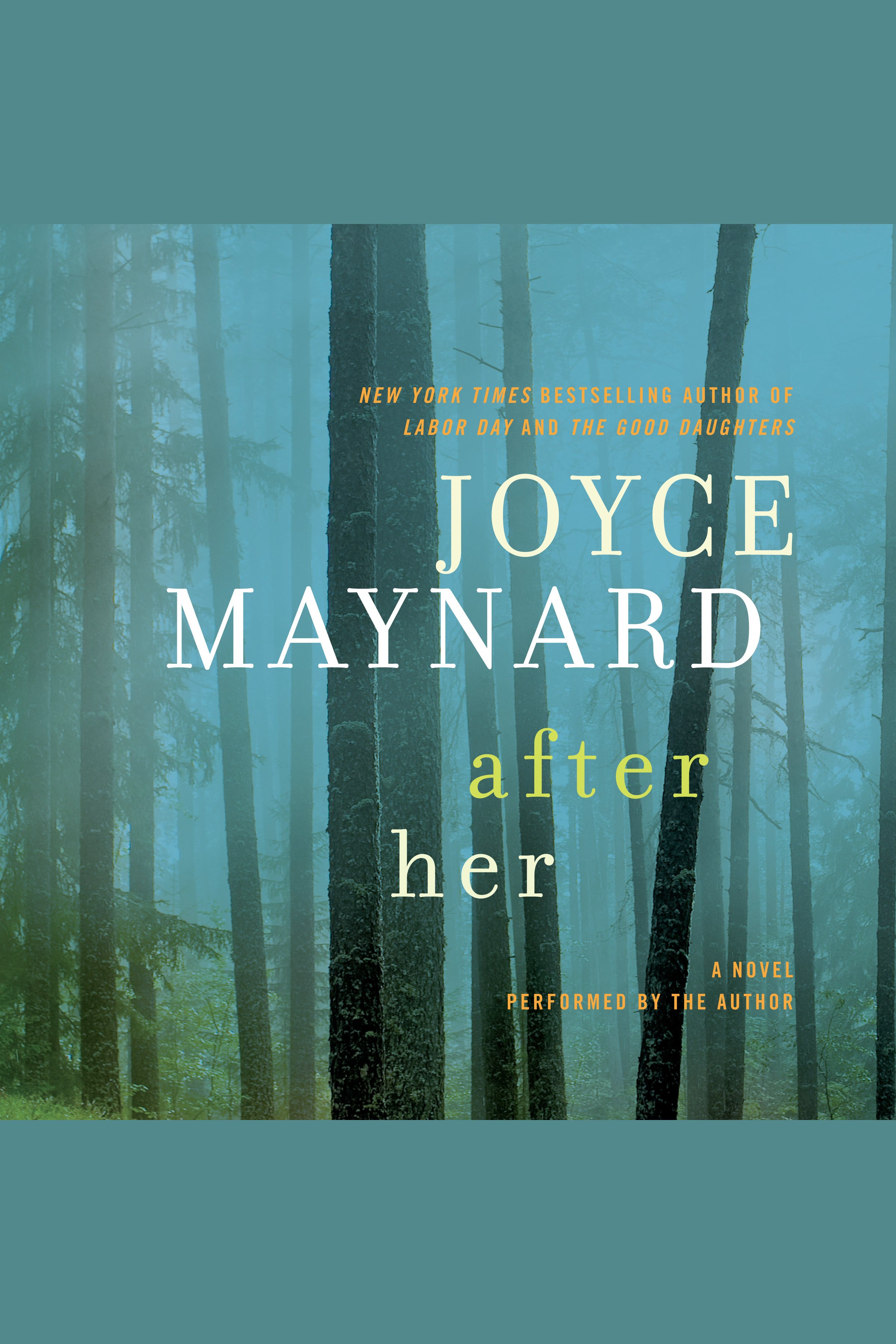 Cover image for After Her [electronic resource] :