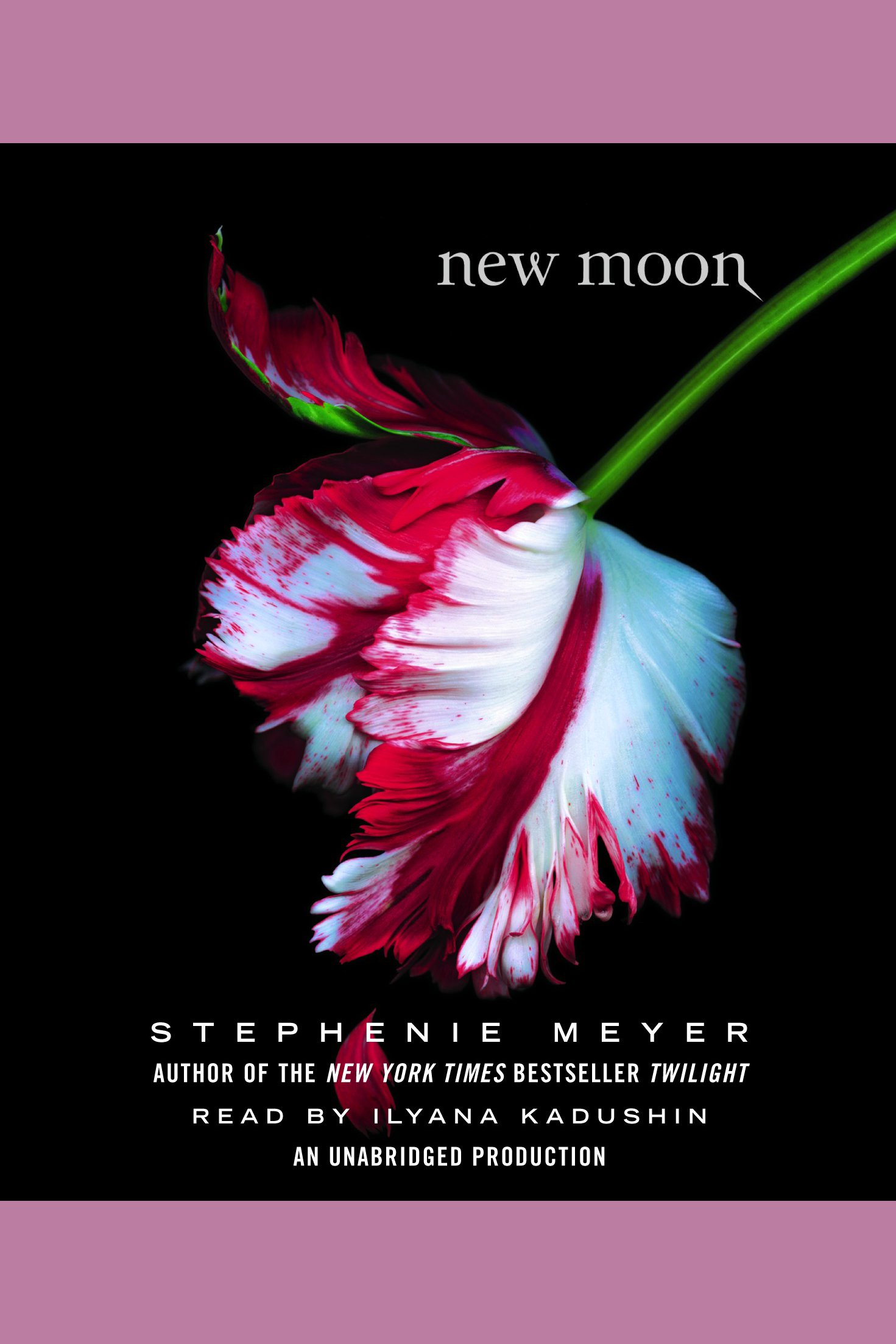 New moon cover image