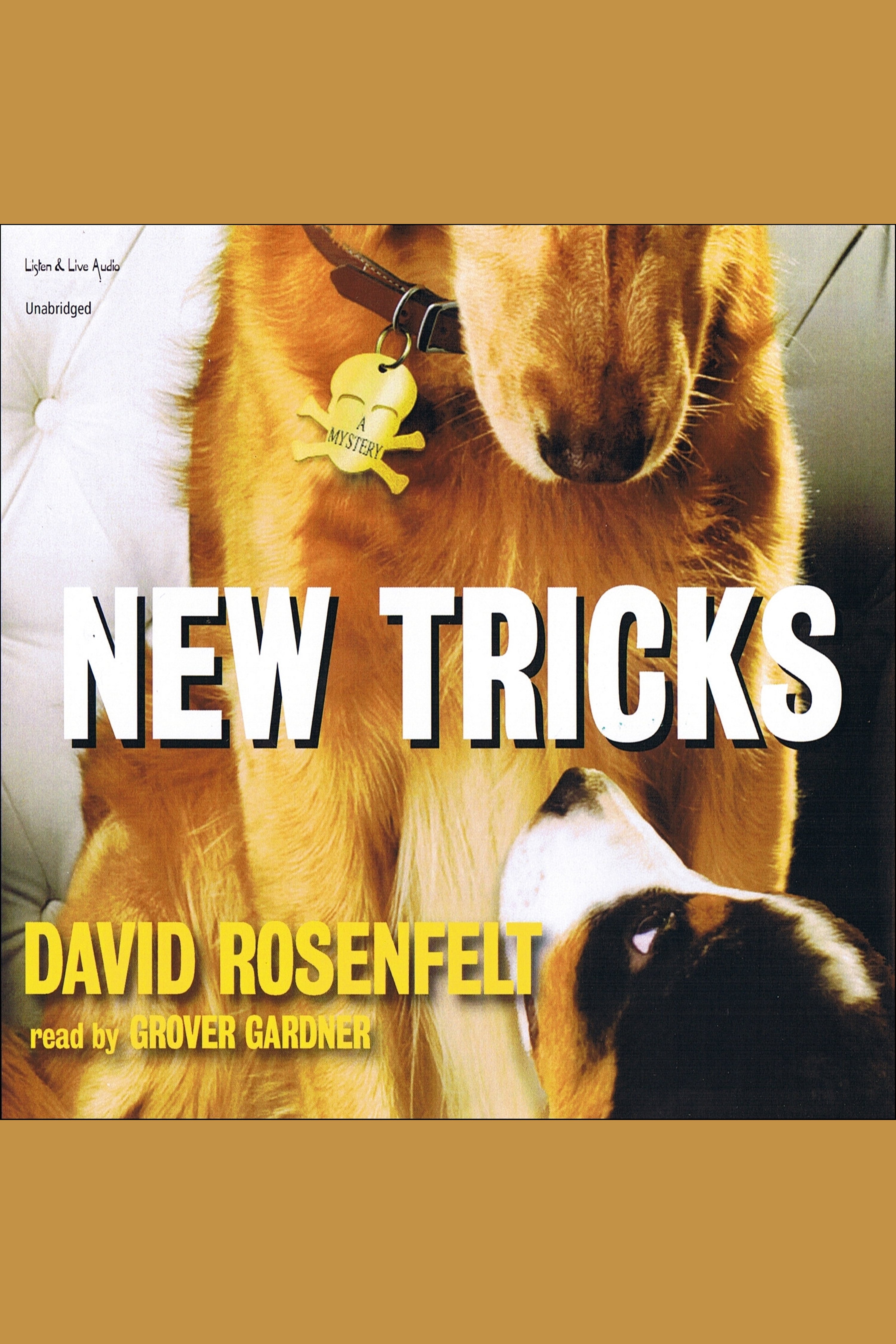 Cover image for New Tricks [electronic resource] :