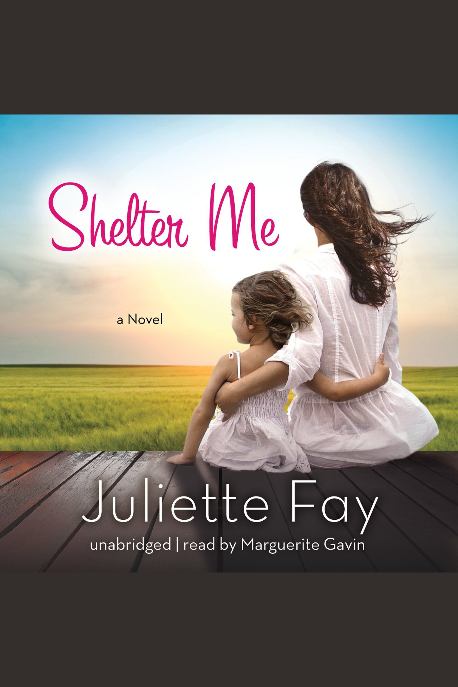 Cover image for Shelter Me [electronic resource] :