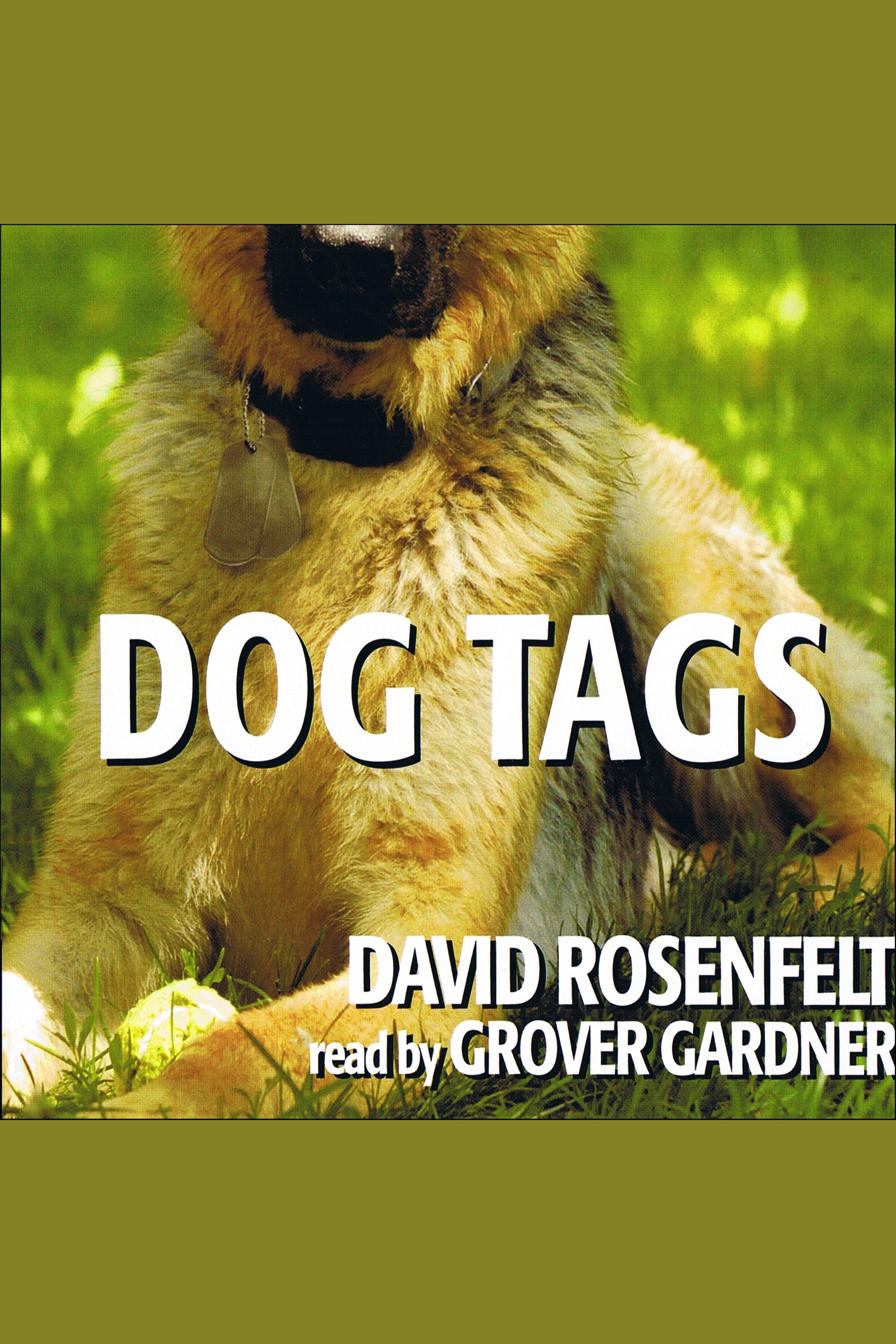 Cover image for Dog Tags [electronic resource] :
