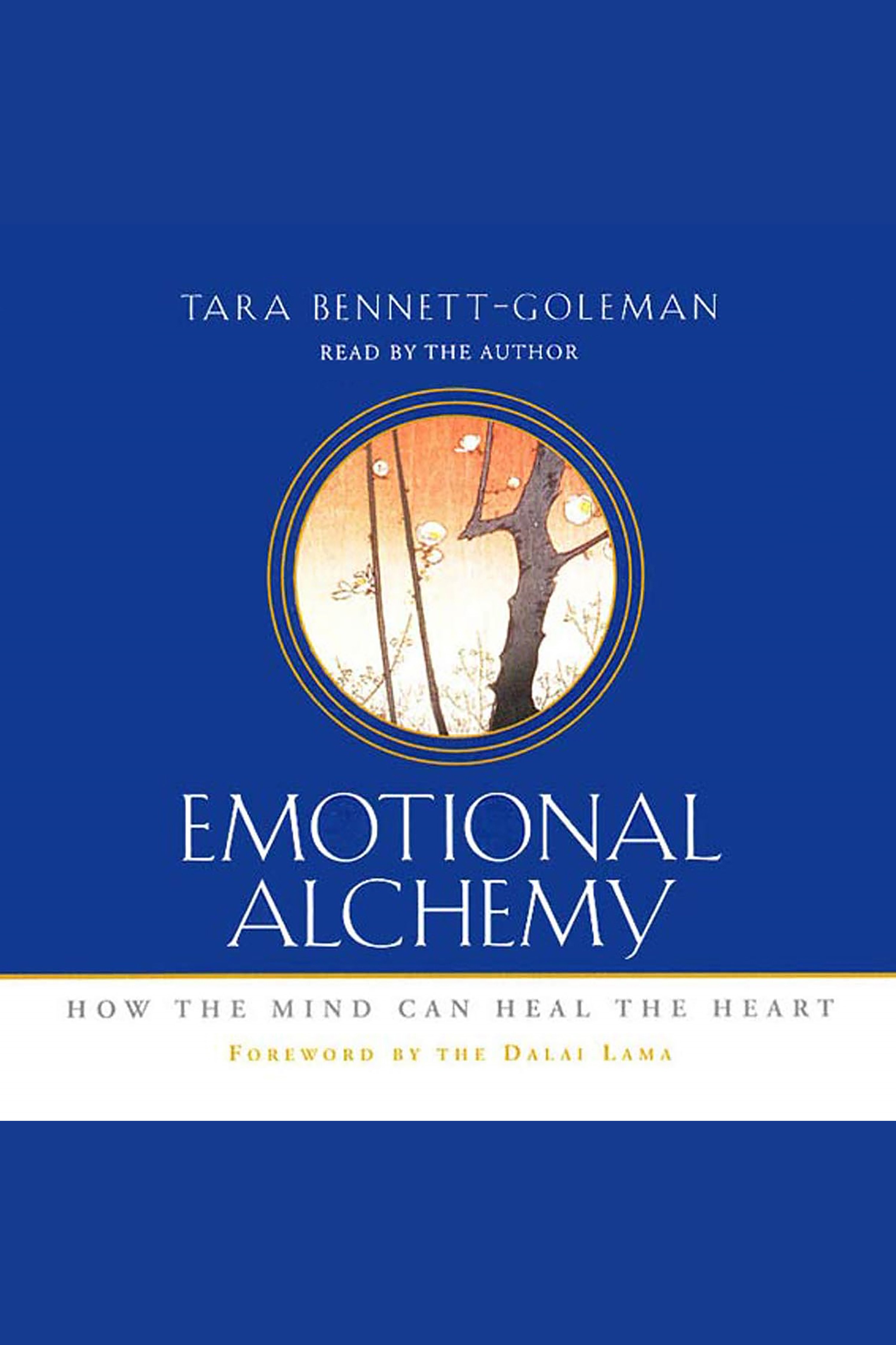 Emotional Alchemy How the Mind Can Heal the Heart cover image