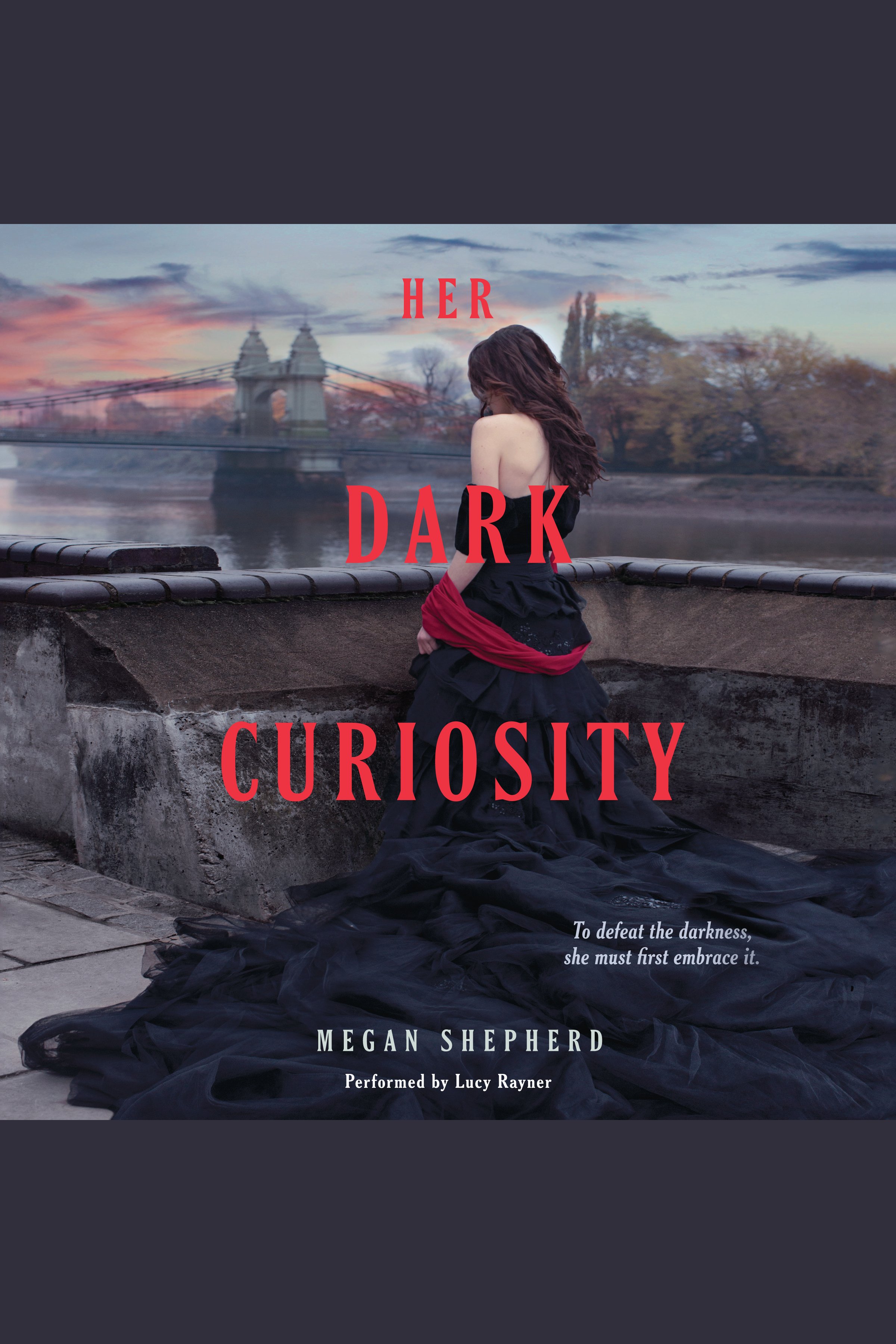 Cover image for Her Dark Curiosity [electronic resource] :