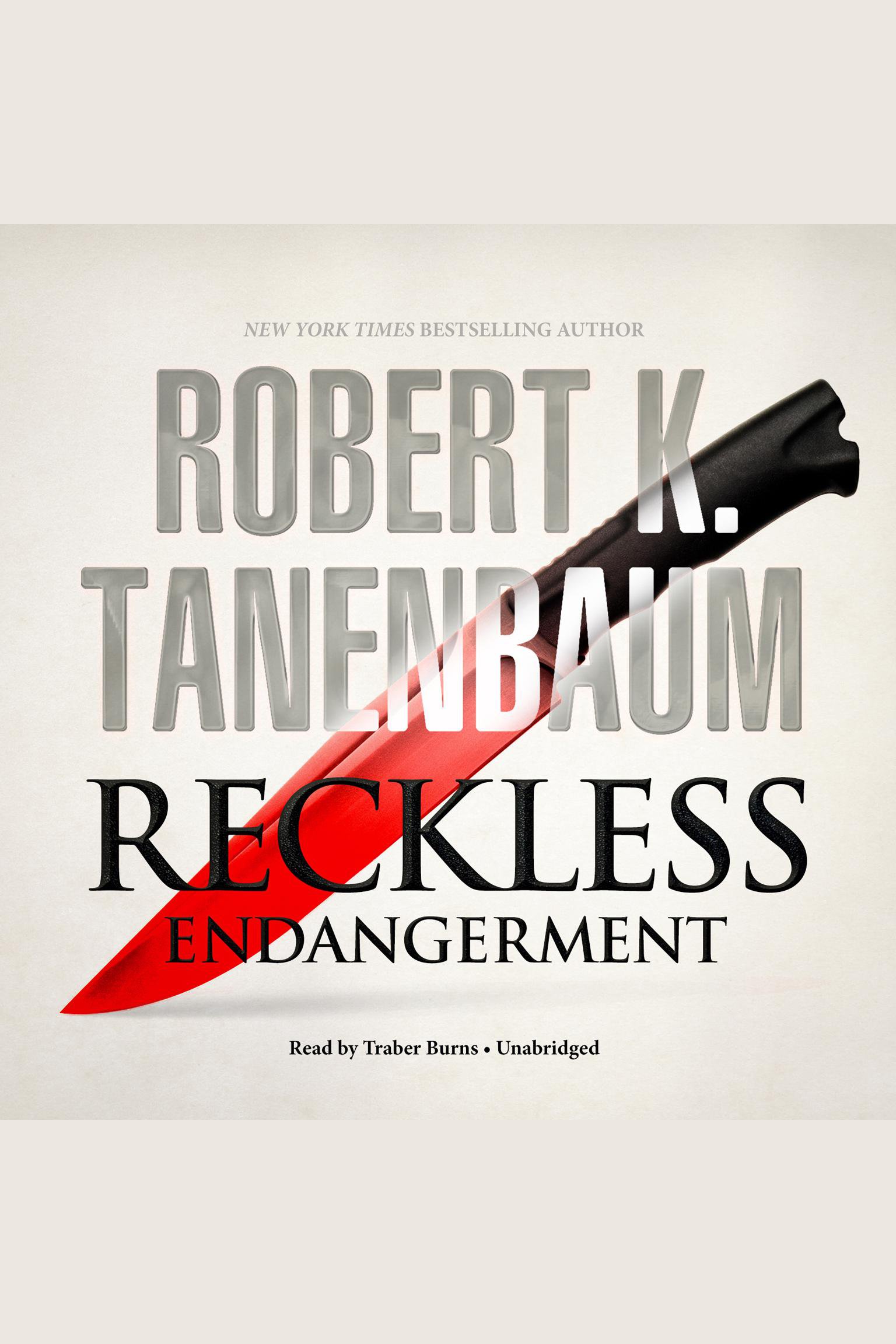 Cover image for Reckless Endangerment [electronic resource] :