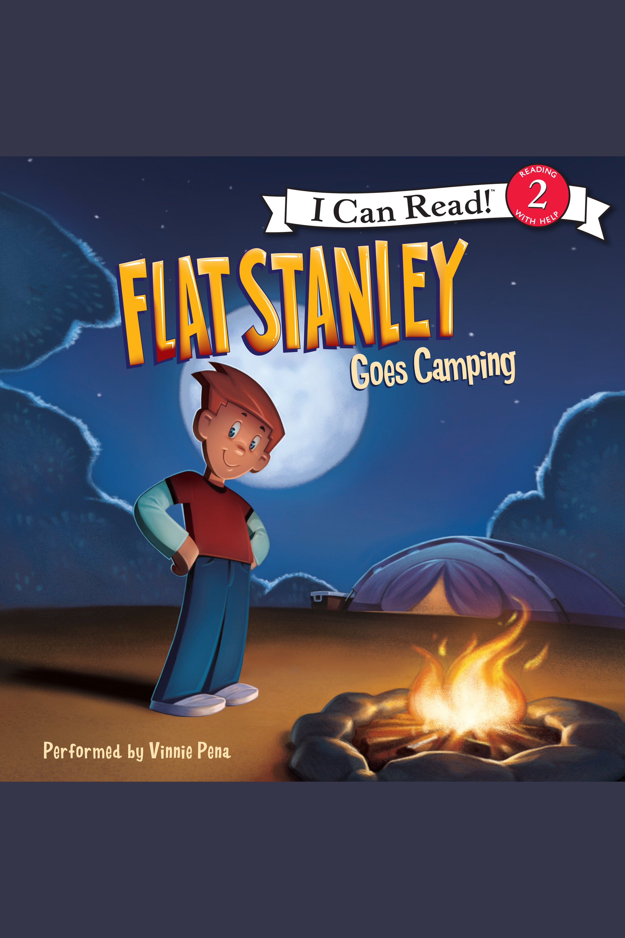 Flat Stanley goes camping cover image