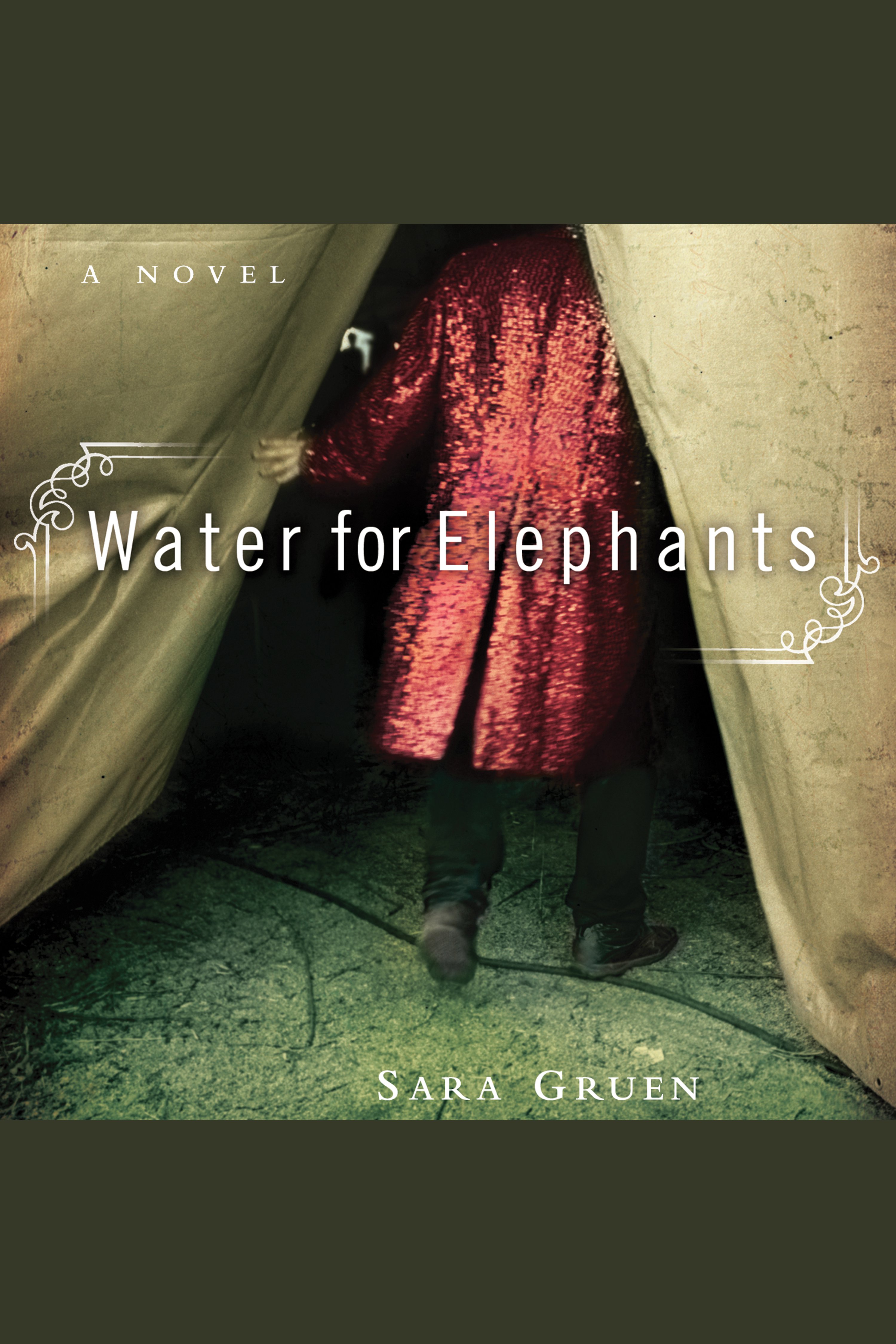 Water for elephants cover image