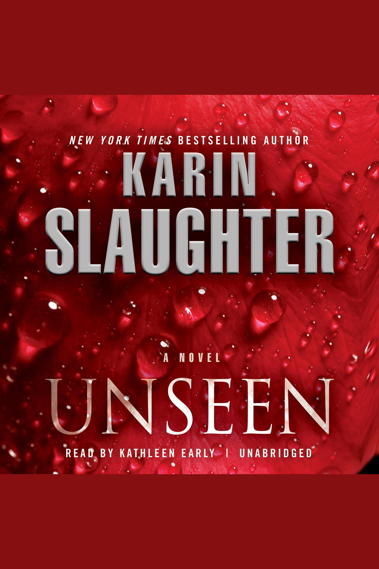 Cover image for Unseen [electronic resource] : A Novel