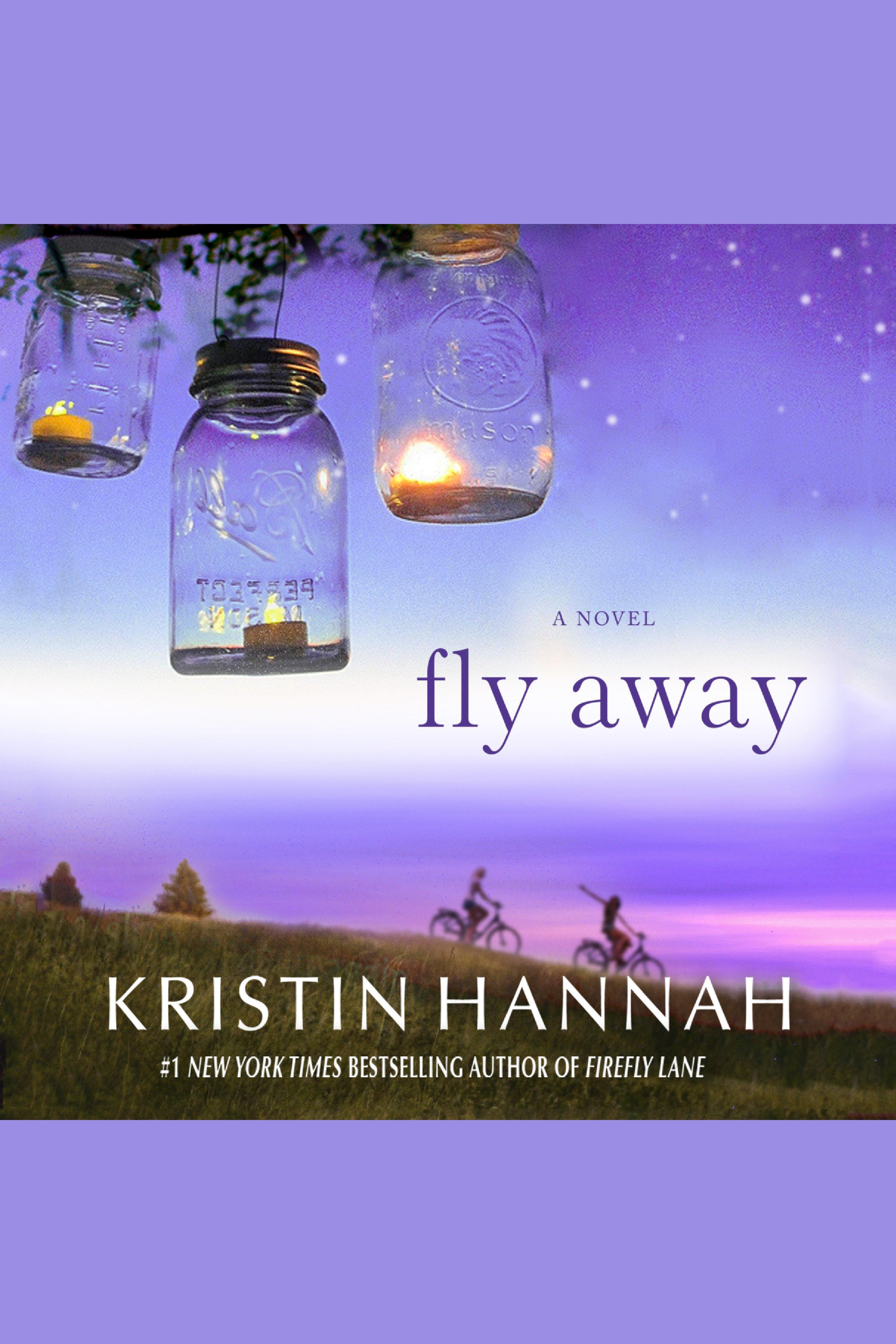 Cover image for Fly Away [electronic resource] : A Novel