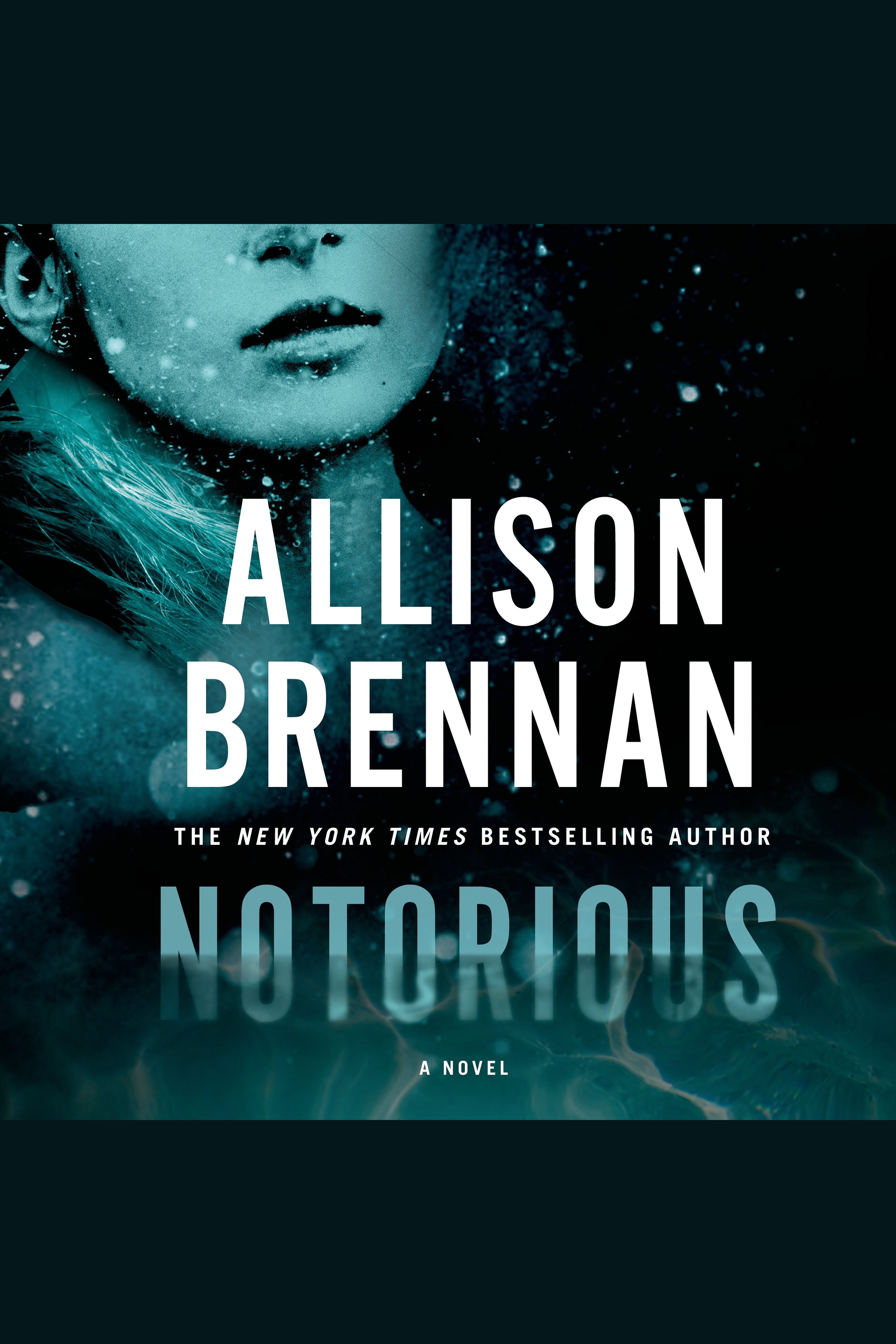 Cover image for Notorious [electronic resource] : A Novel