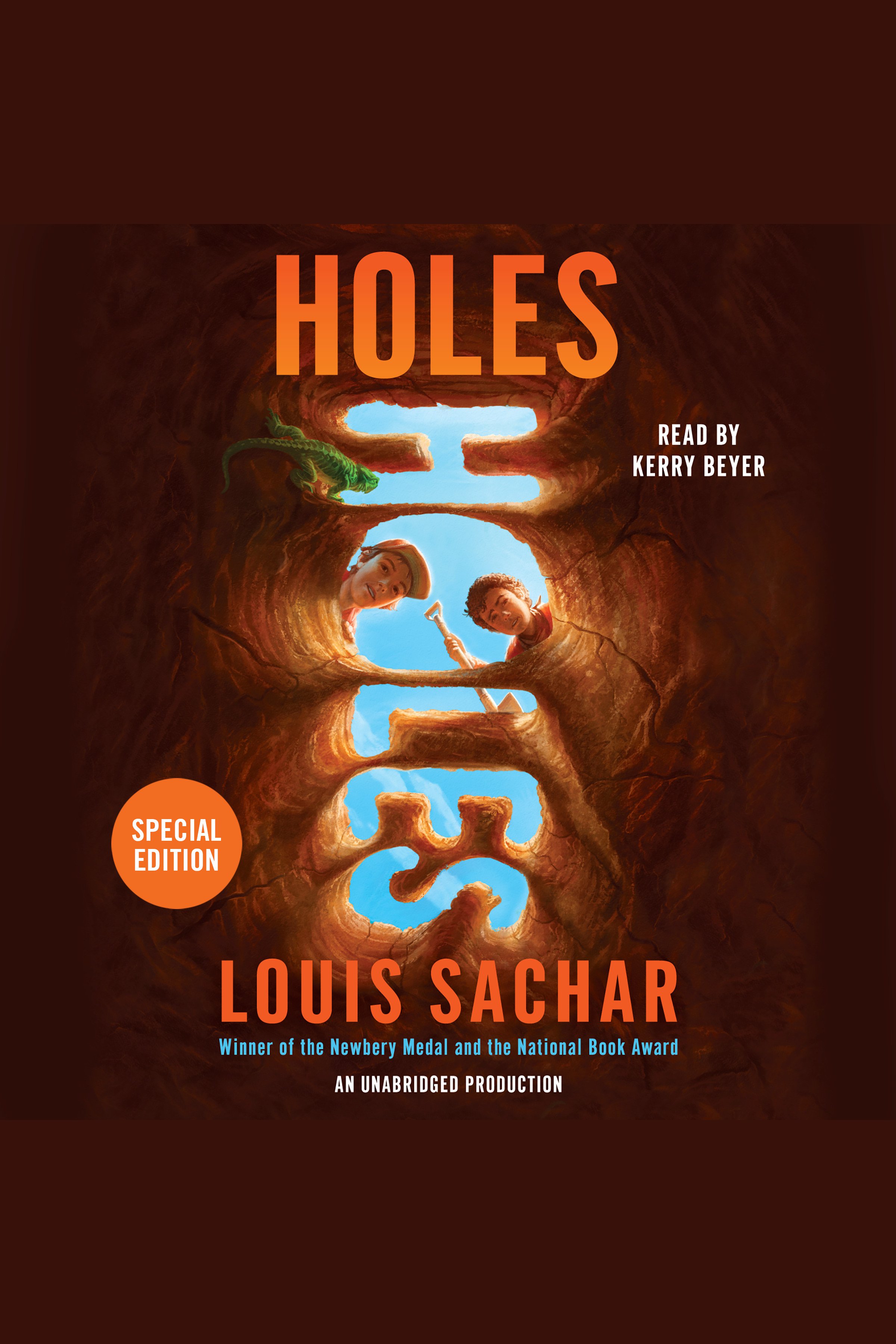 Holes cover image