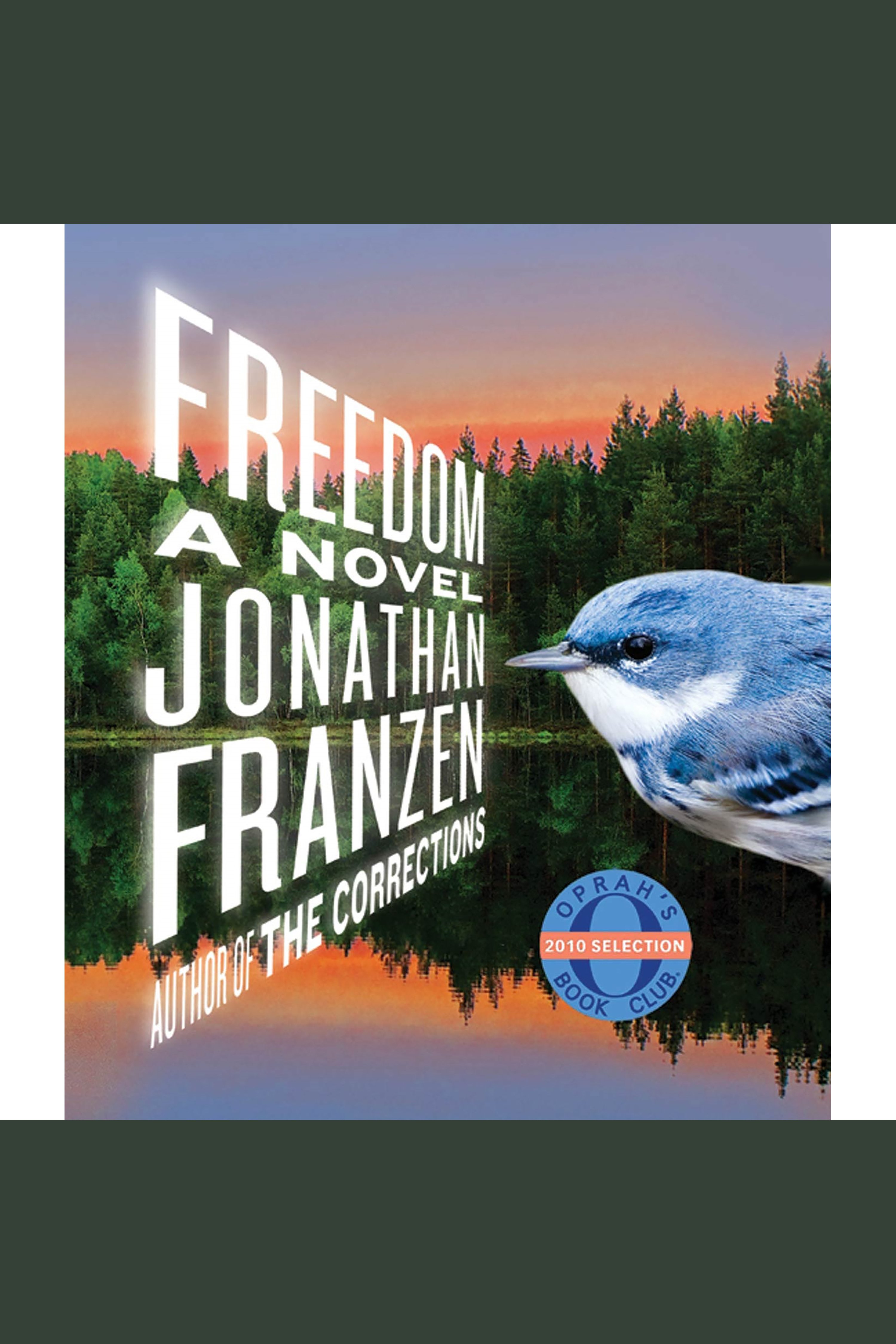 Cover image for Freedom [electronic resource] : A Novel
